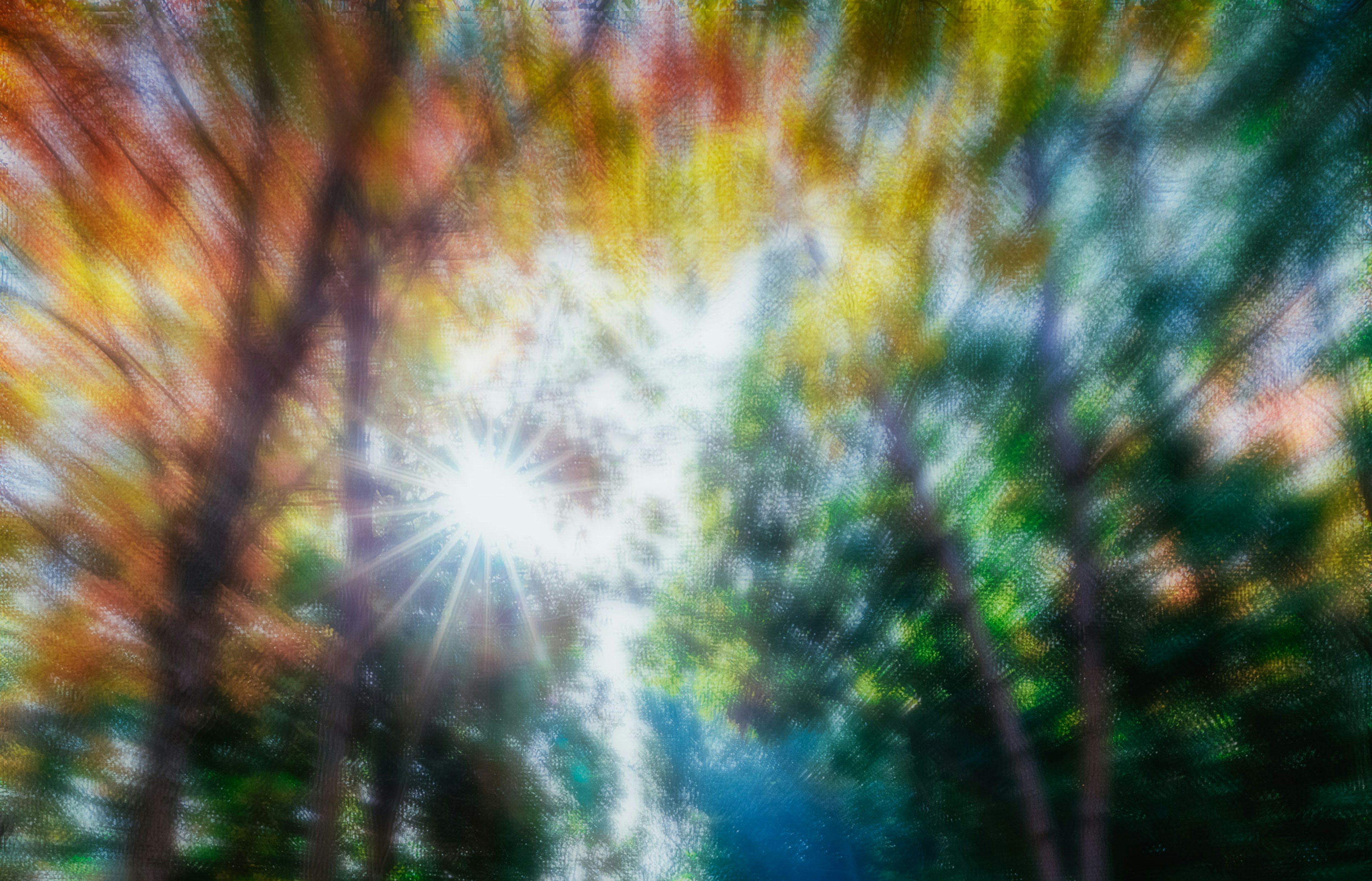 Blurred autumn forest with sunlight shining through