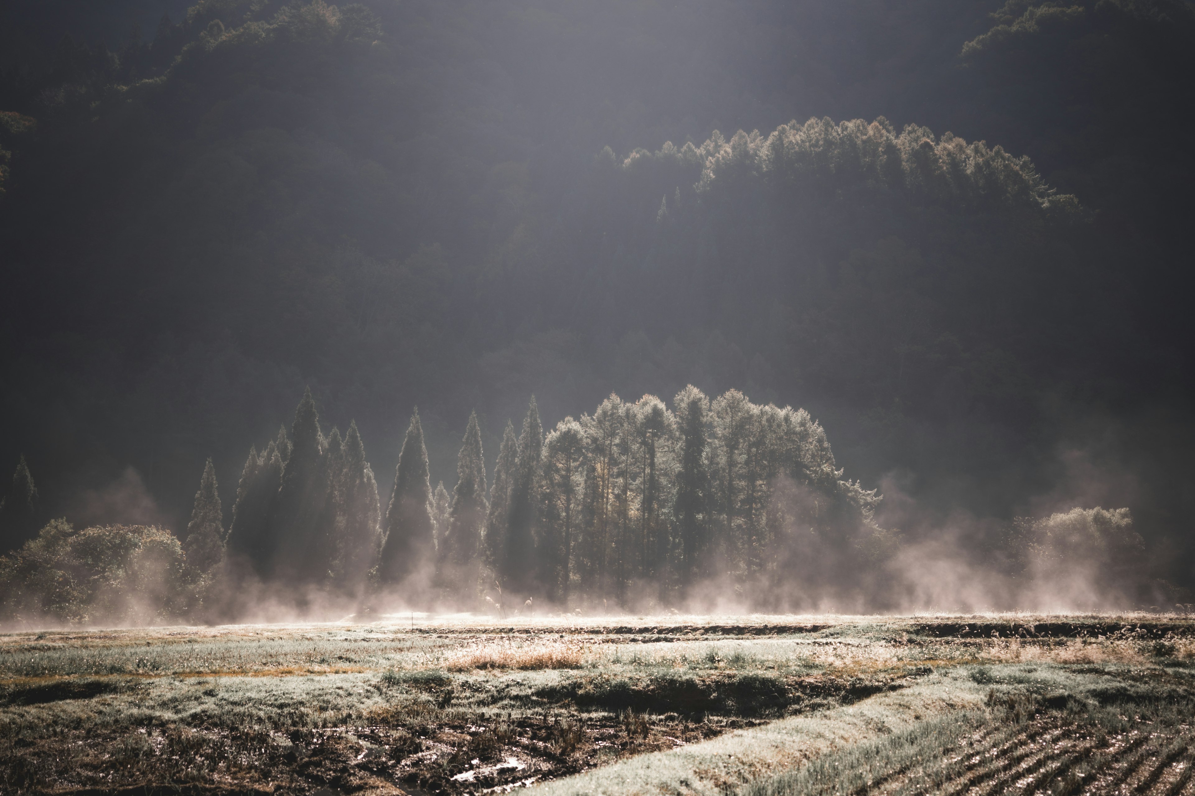 Misty morning rural landscape with mountains and trees in the background