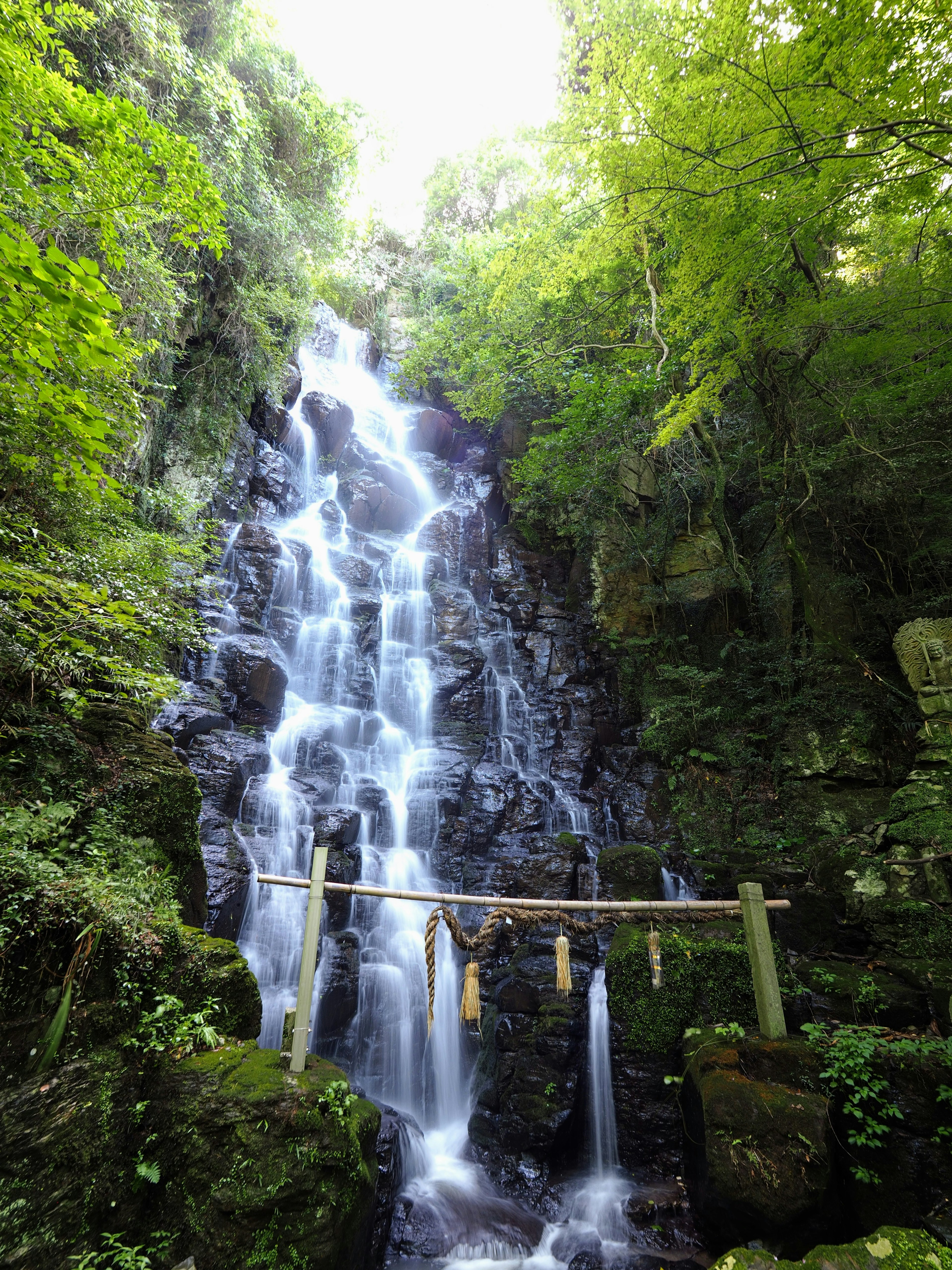 Waterfall cascading through lush greenery with a bamboo bridge