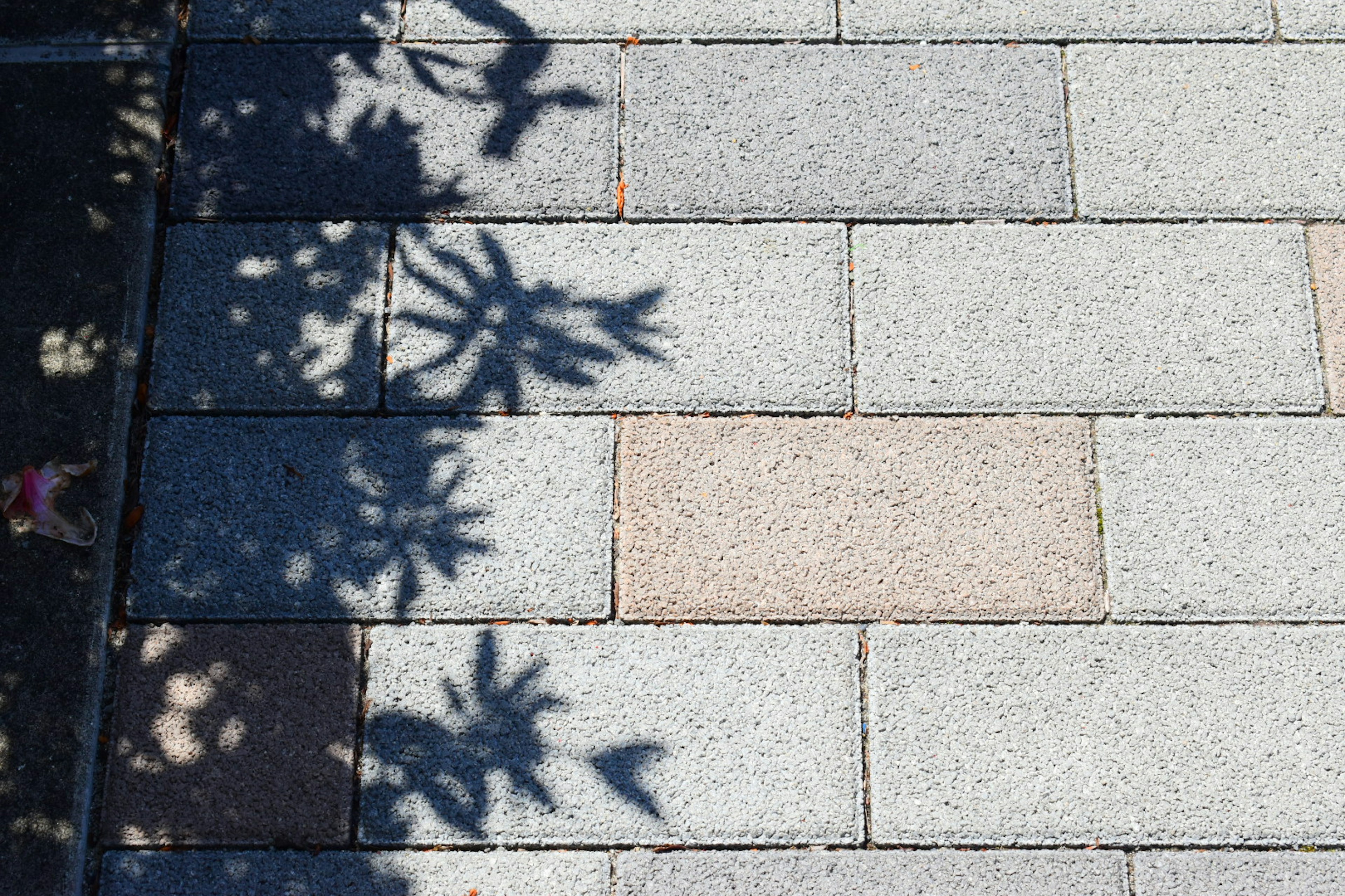 Motif de pavé en pierre avec de belles ombres