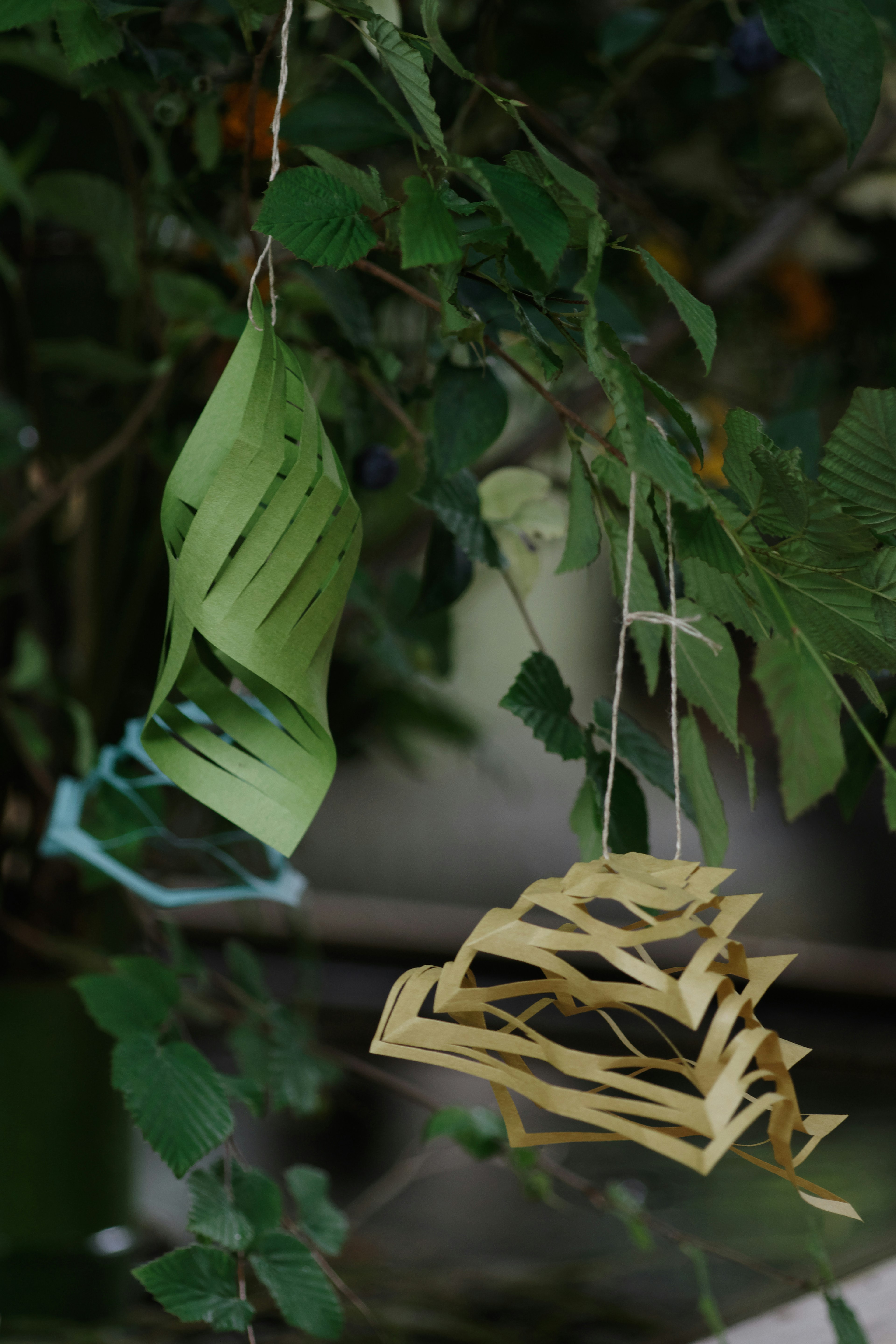 Green and yellow paper decorations hanging from a tree branch