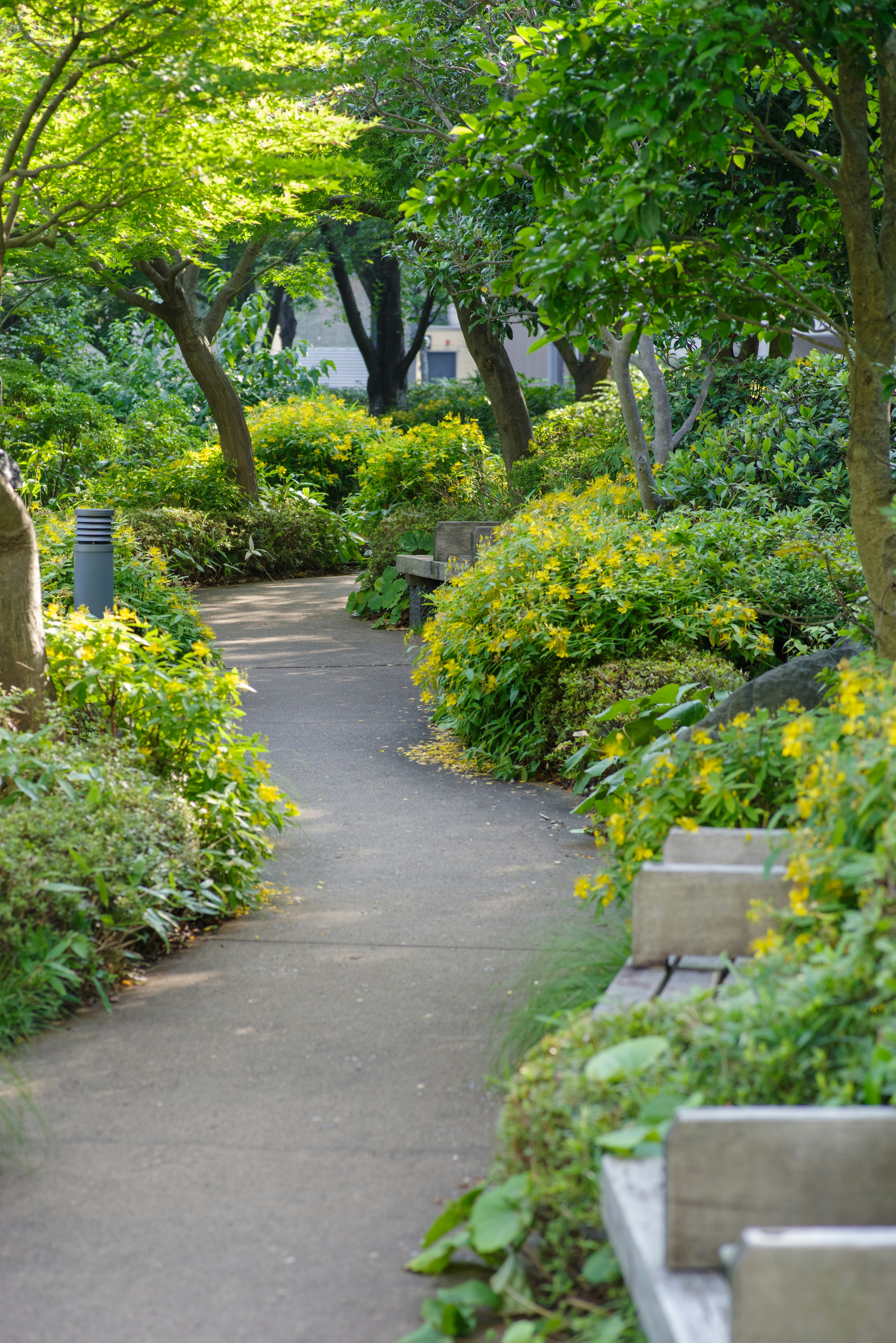 緑豊かな公園の小道と花々