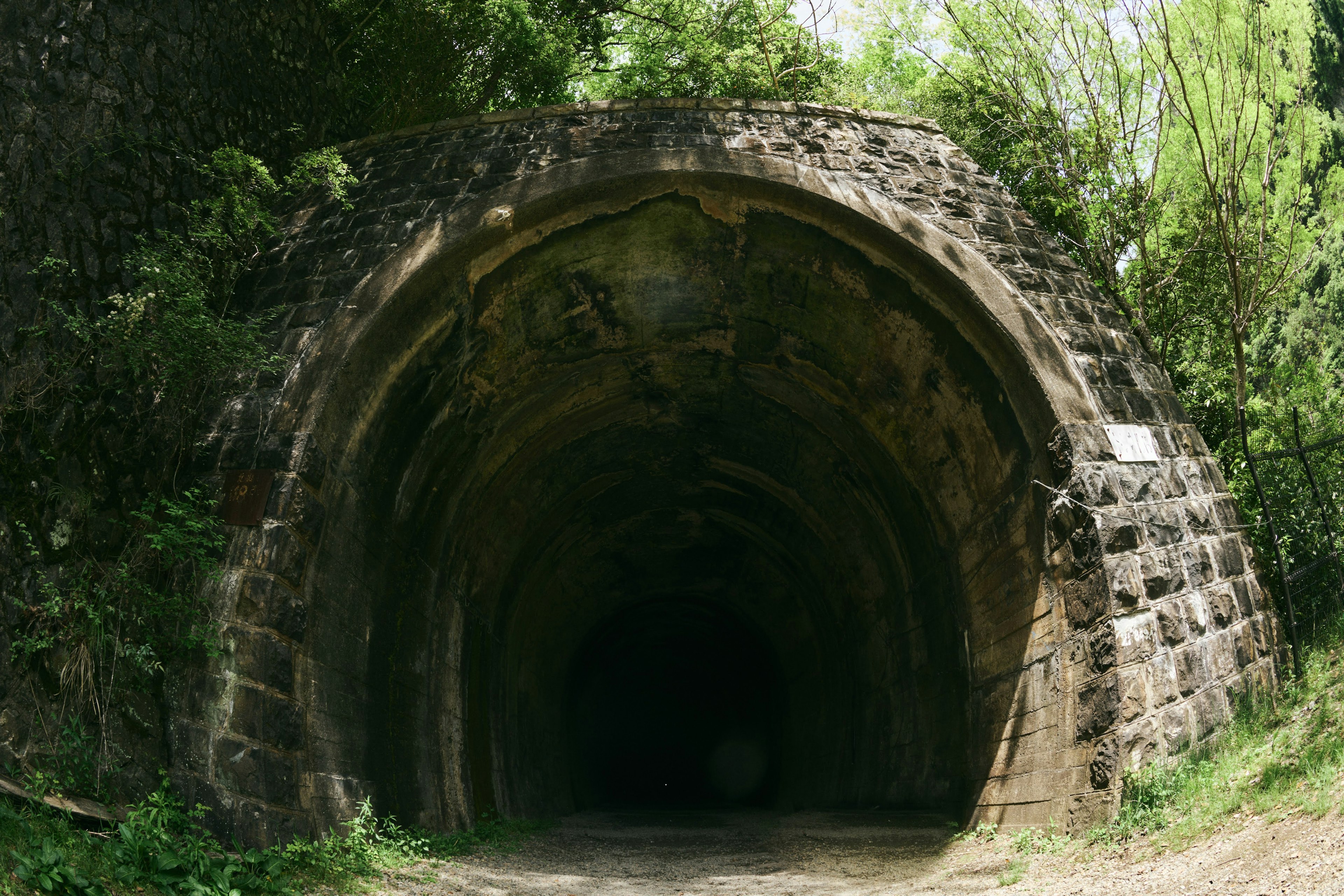 Entrada arqueada de un antiguo túnel rodeada de vegetación exuberante