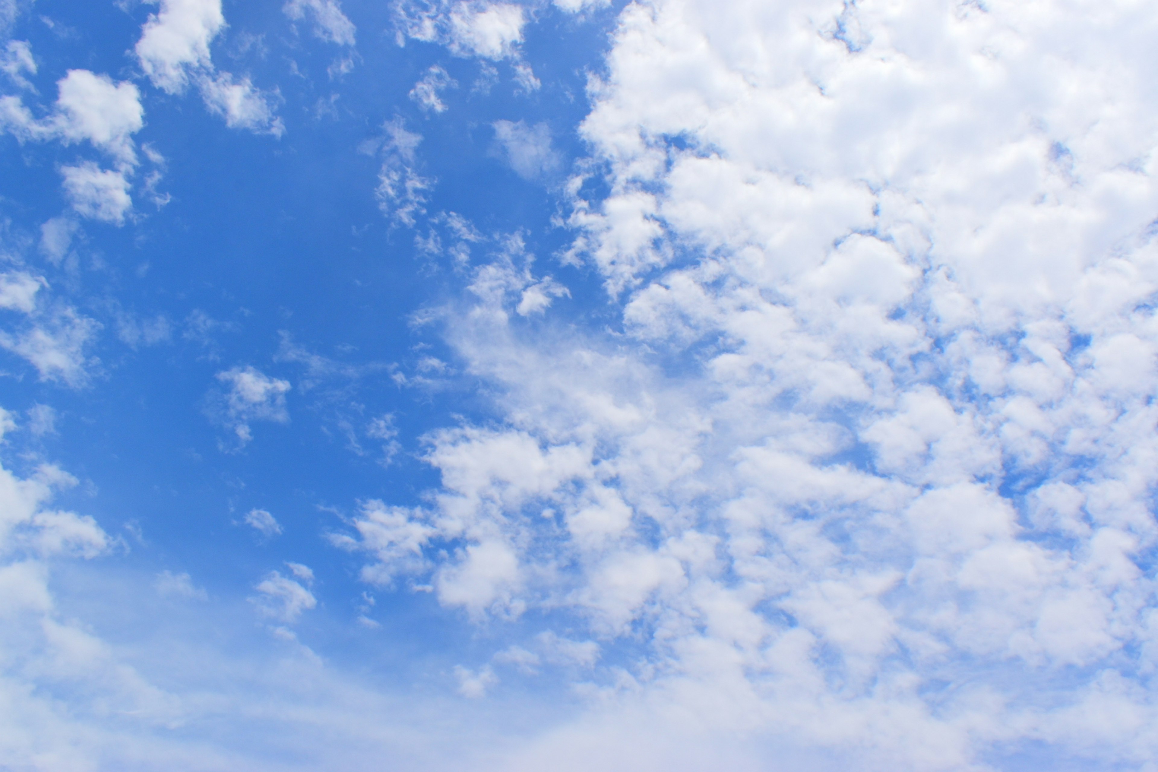 Un cielo pieno di nuvole bianche soffici su uno sfondo blu brillante