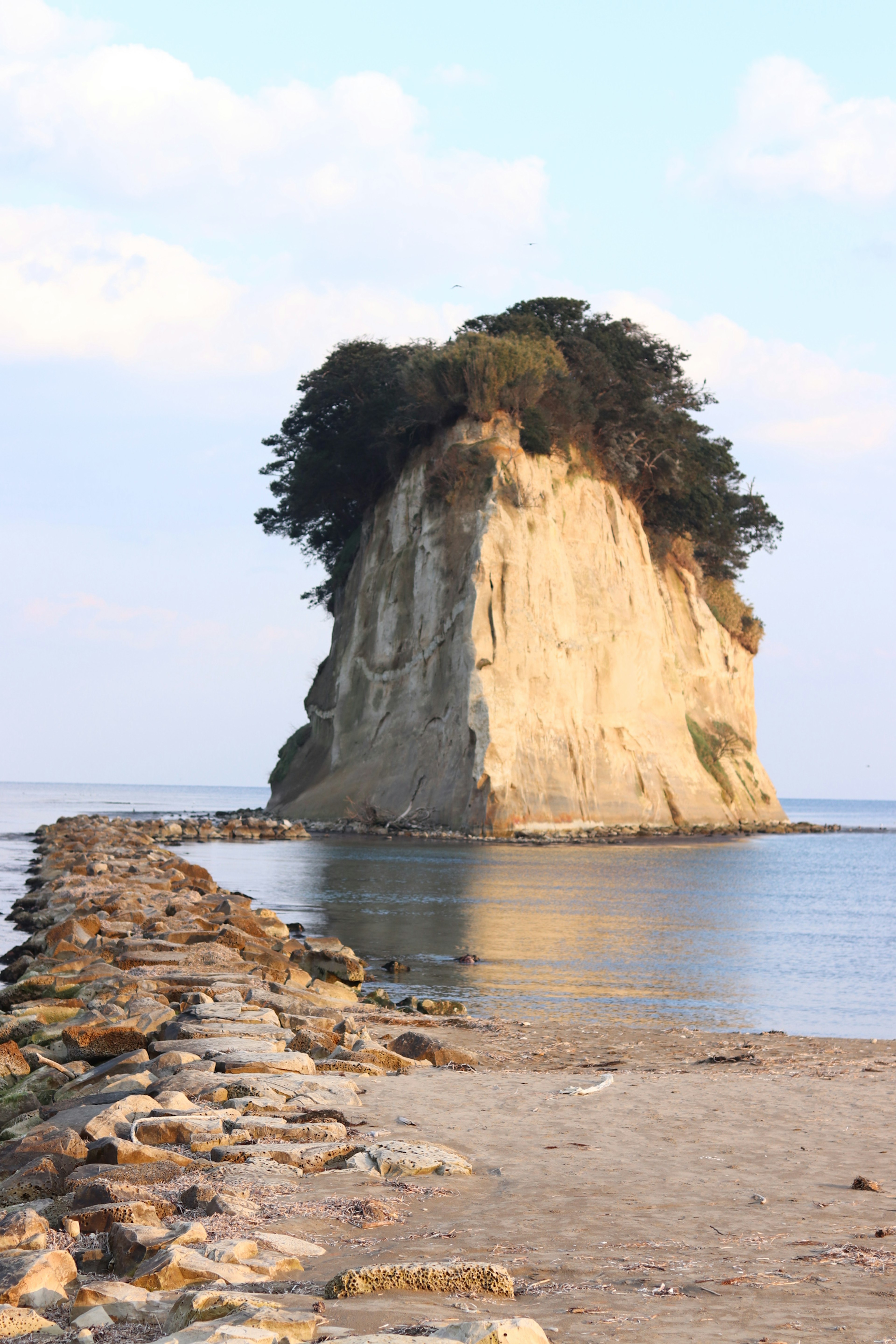 A rocky island with trees surrounded by calm water and a stone jetty