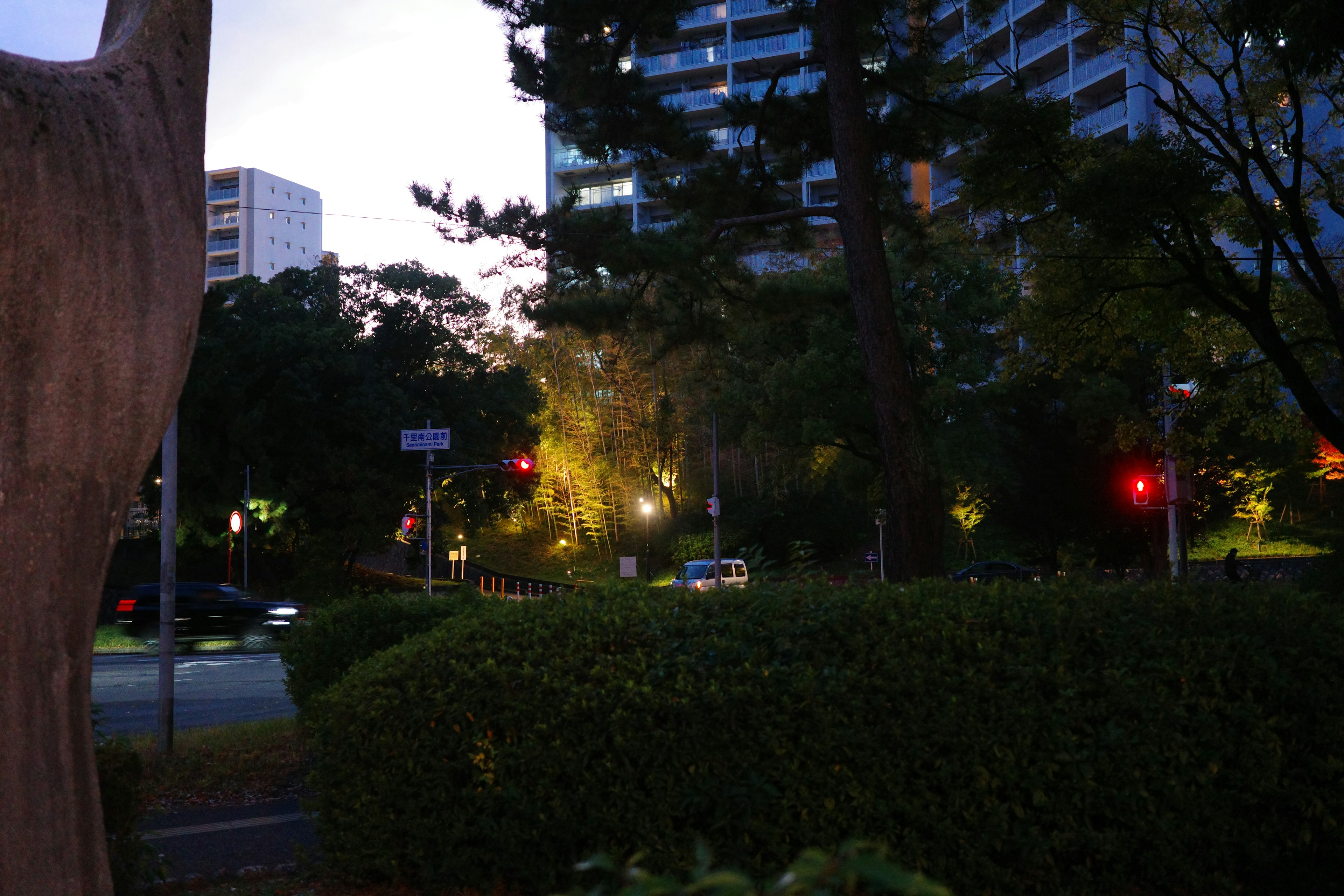 夜の街並み、交通信号、ビル、木々、街灯が映る風景