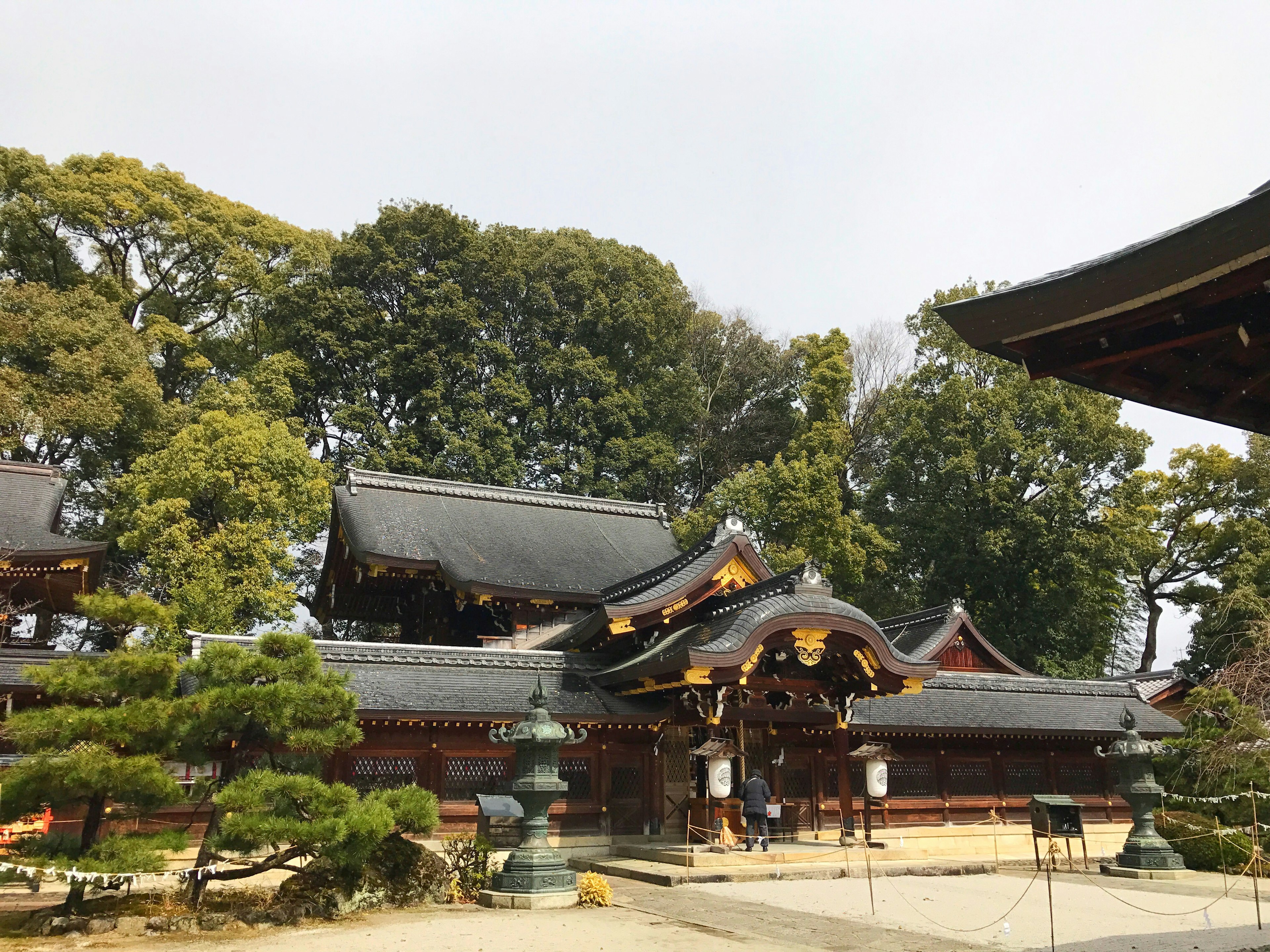 Architecture traditionnelle de sanctuaire japonais entourée d'arbres verts