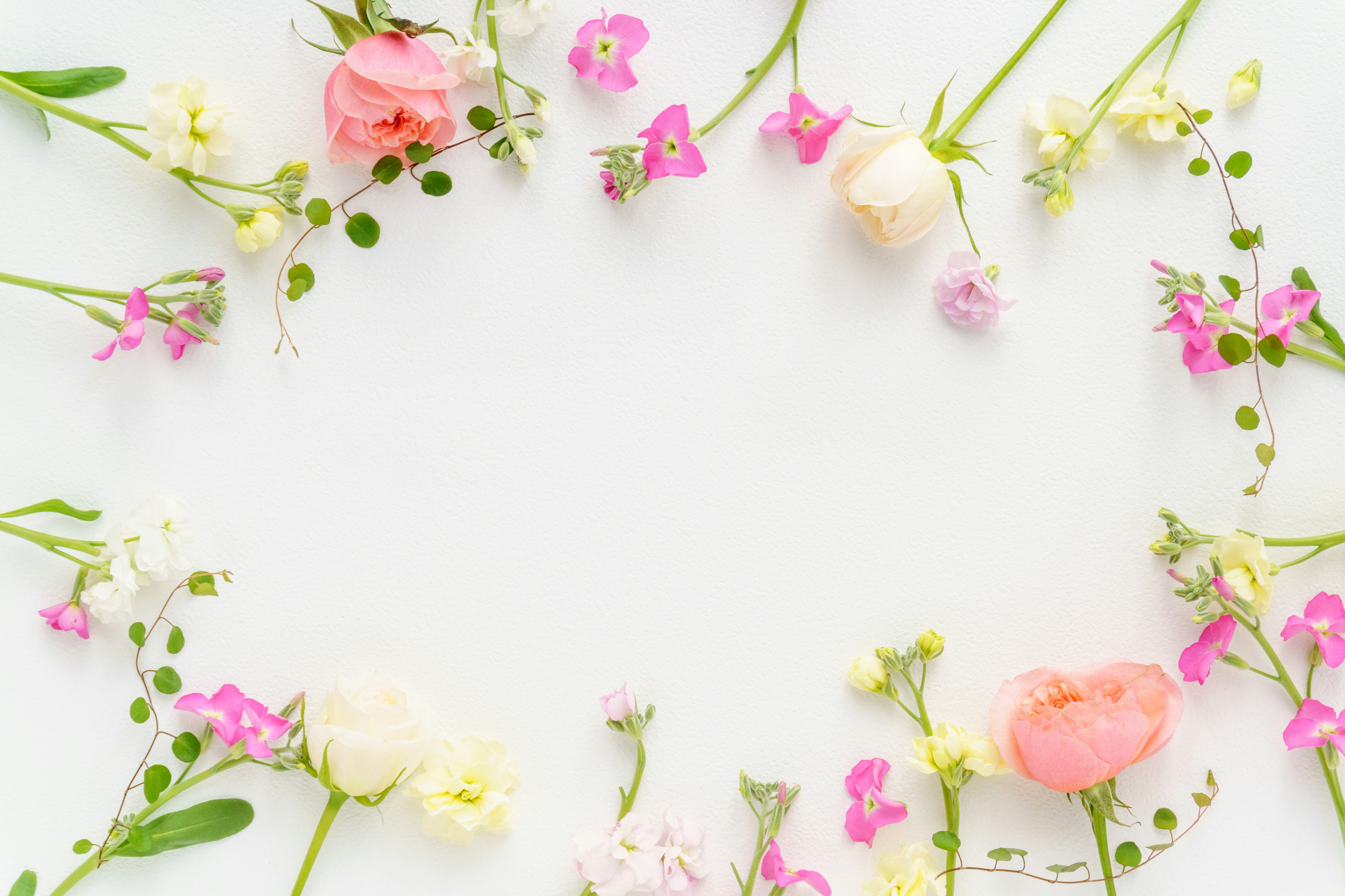 Un marco floral de flores rosas y blancas sobre un fondo blanco