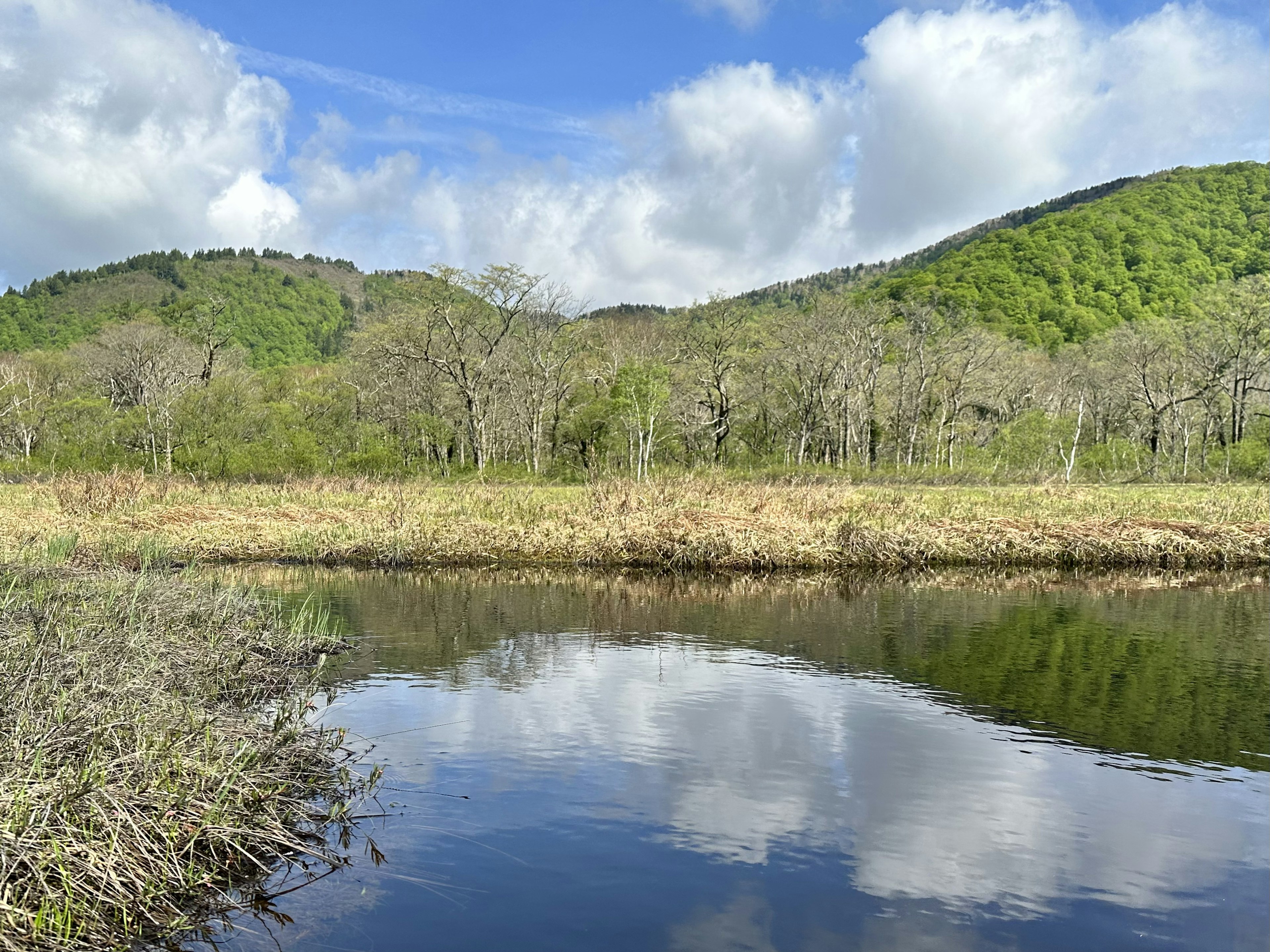 Superficie d'acqua tranquilla che riflette colline verdi e cielo blu