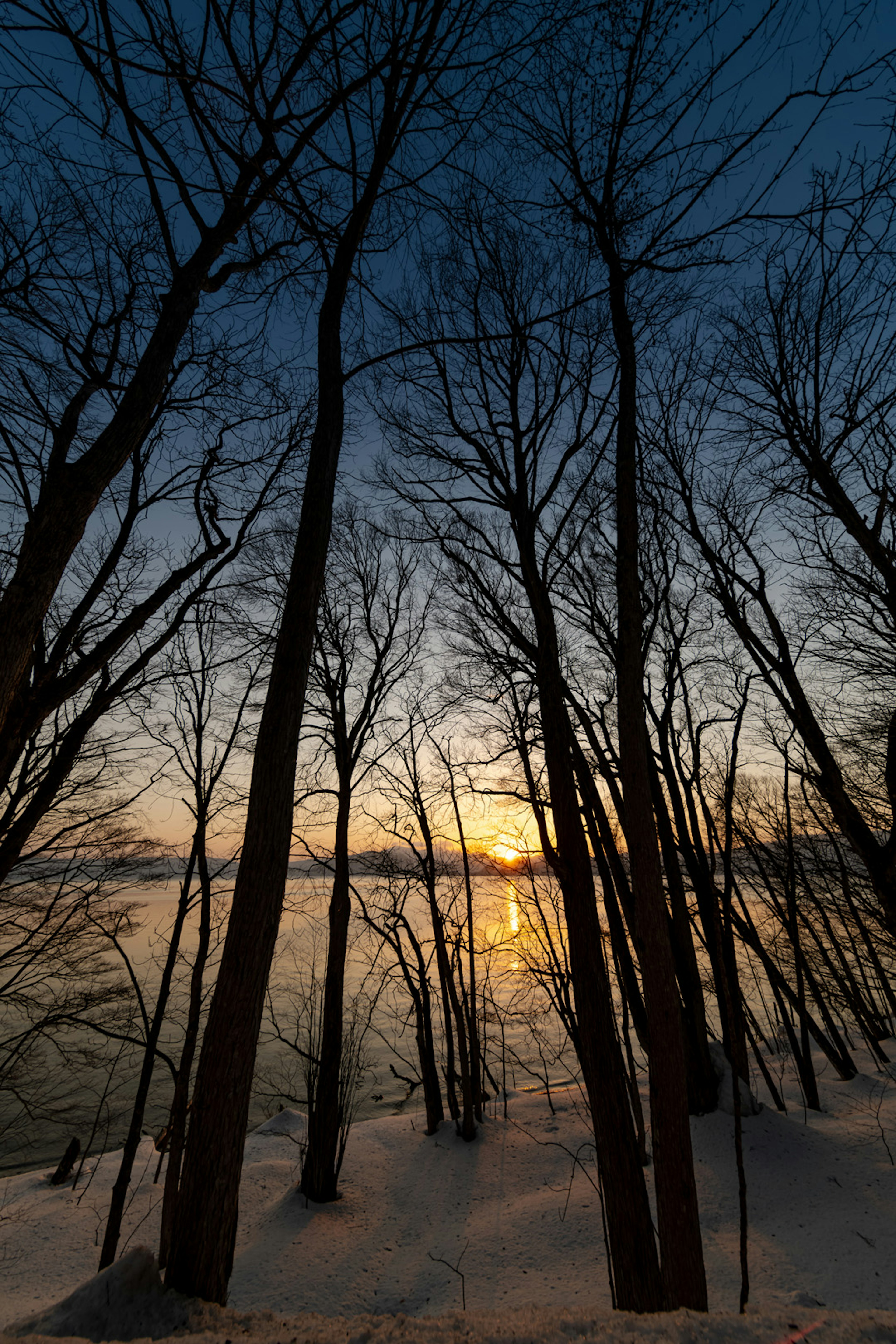 Alberi in silhouette contro un tramonto invernale che si riflette sul lago