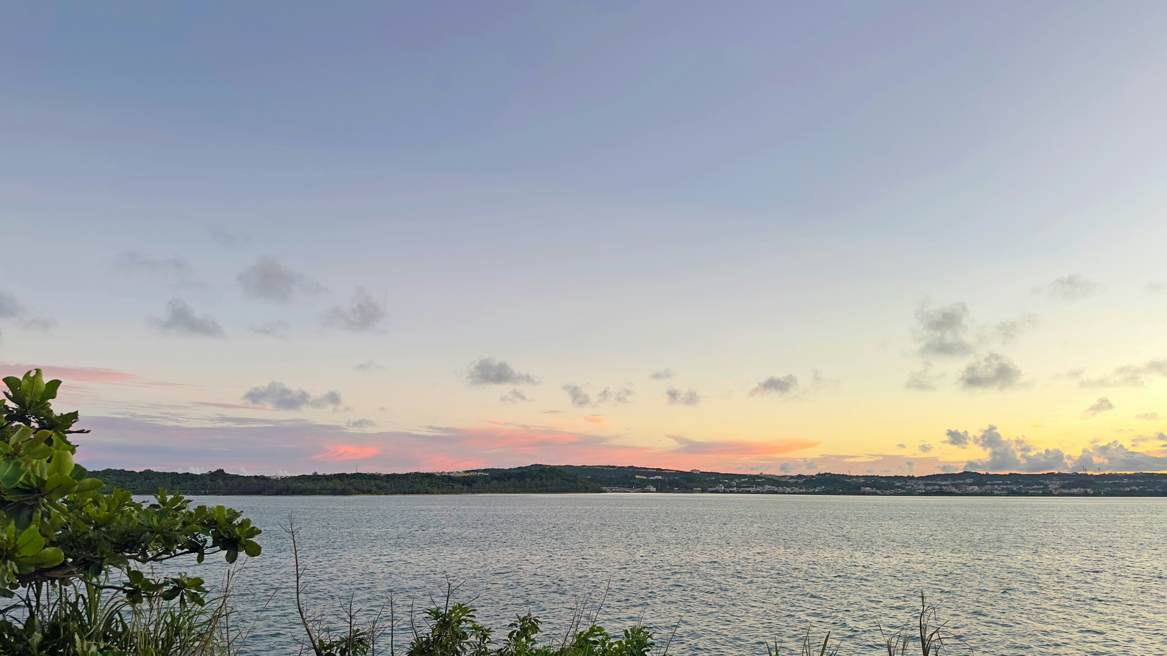 Calm water reflecting a sunset sky with green plants