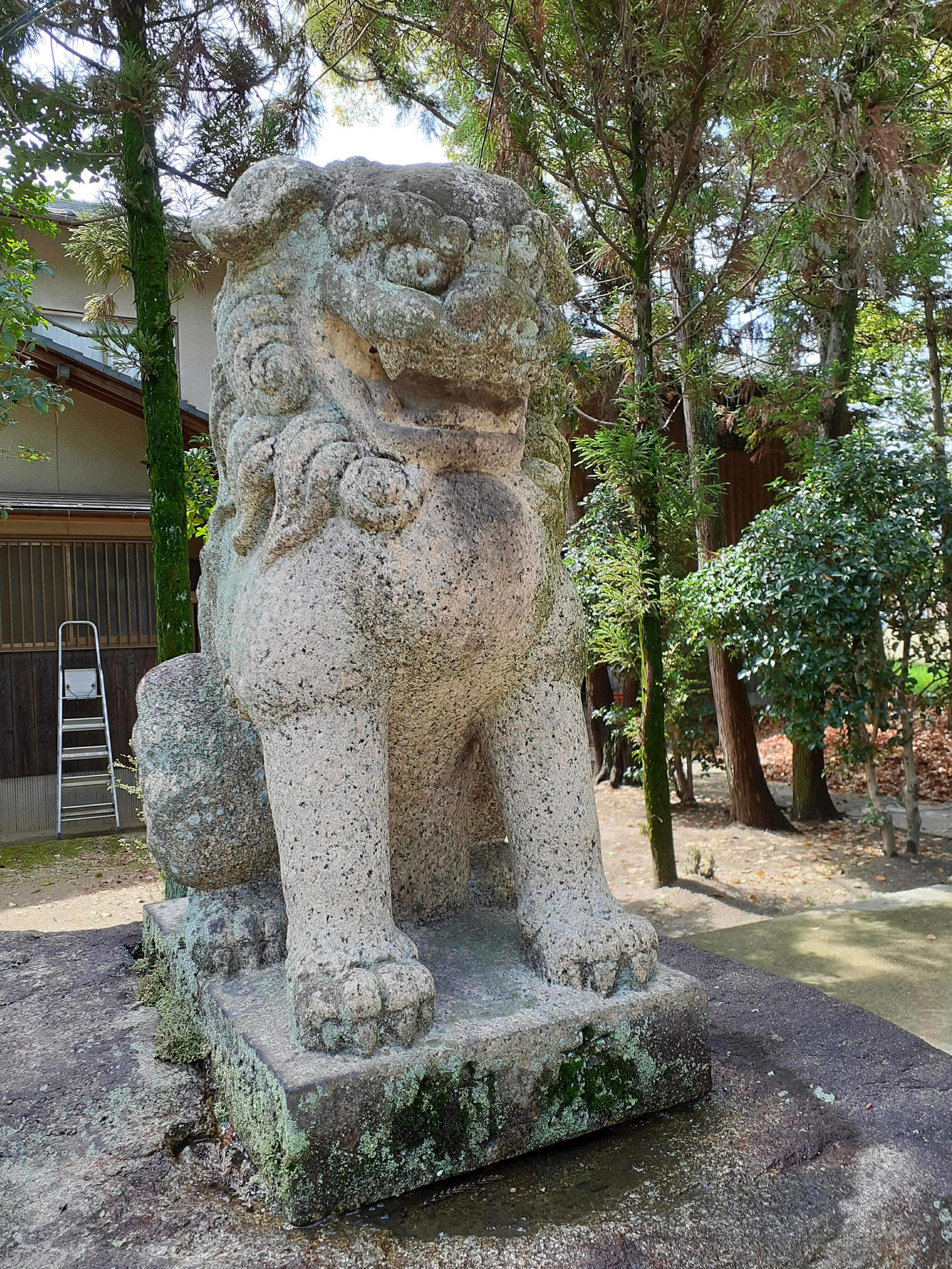 神社前的石獅雕像，周圍環繞著樹木