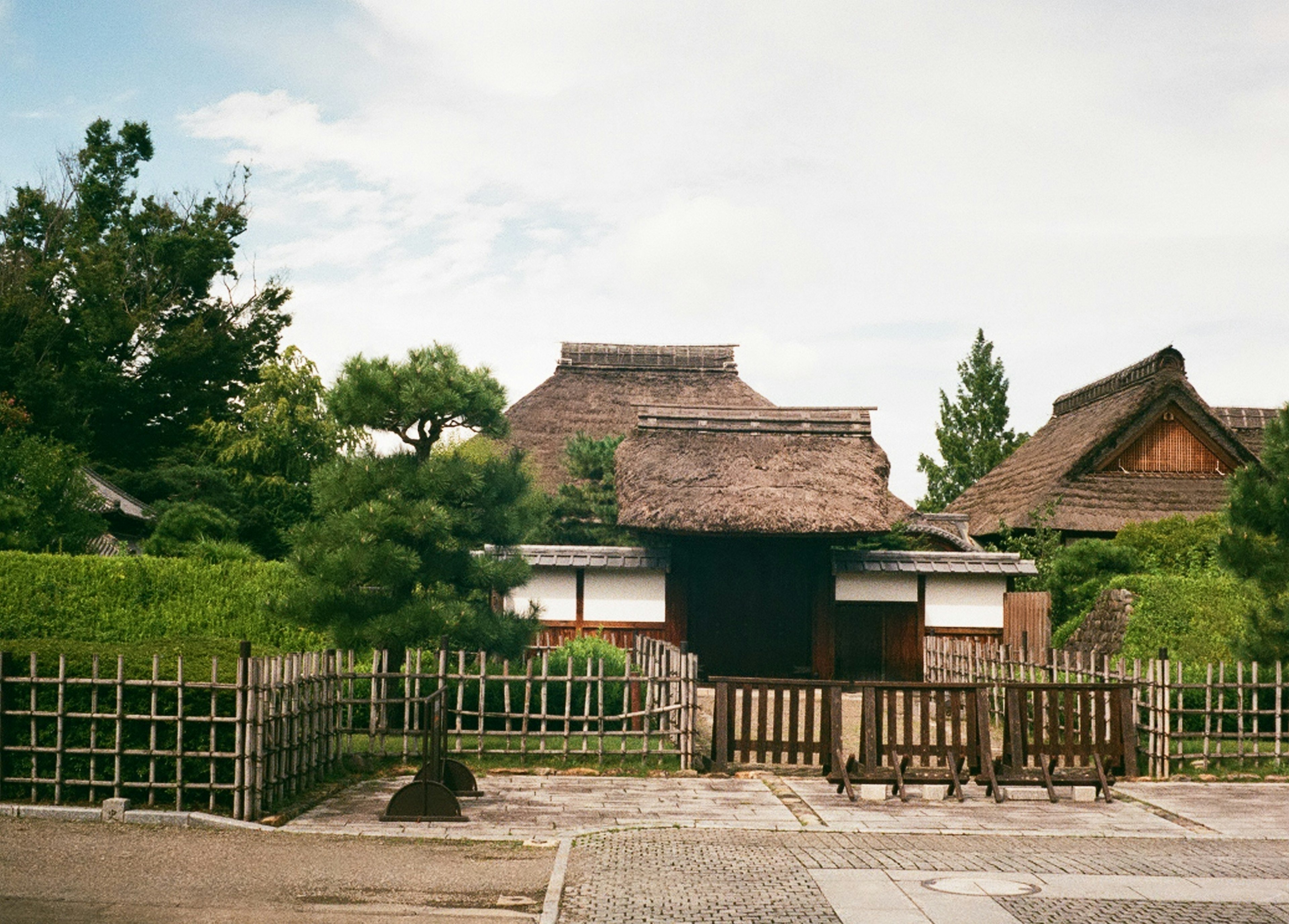 Traditional Japanese houses with thatched roofs and green plants in a serene garden setting