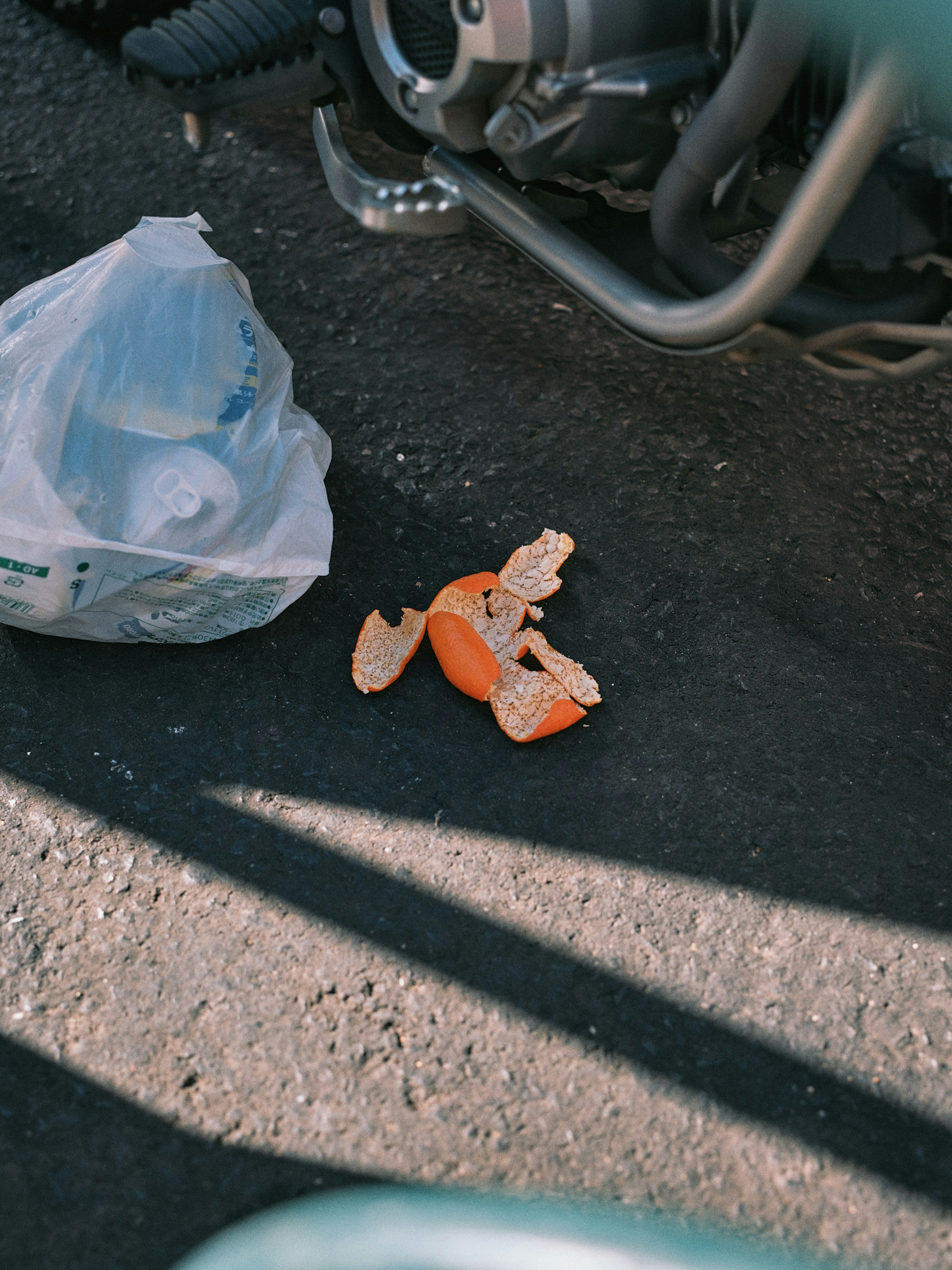 Orange peels scattered on the ground next to a plastic bag