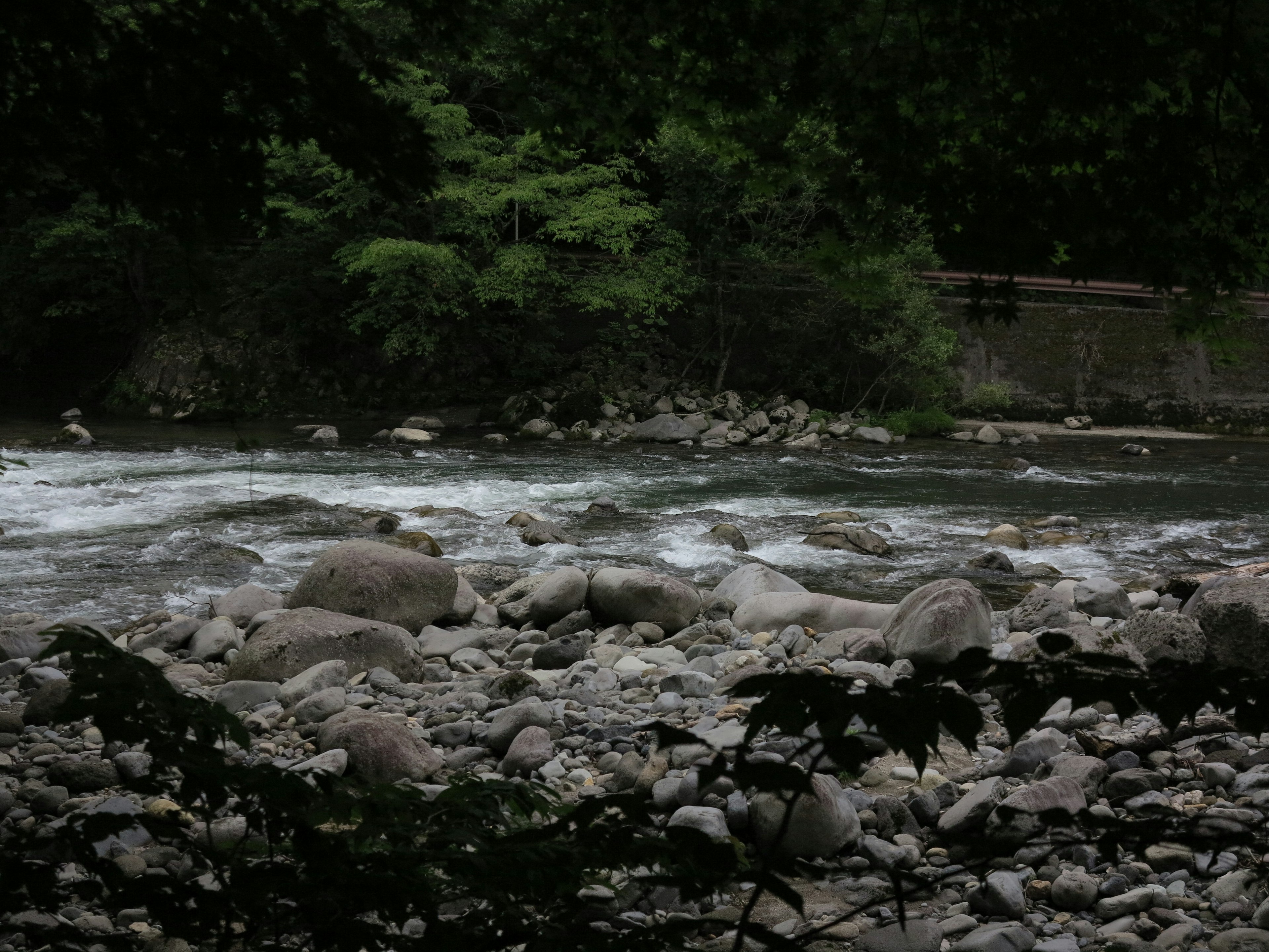 Paysage naturel avec un cours d'eau et des rochers