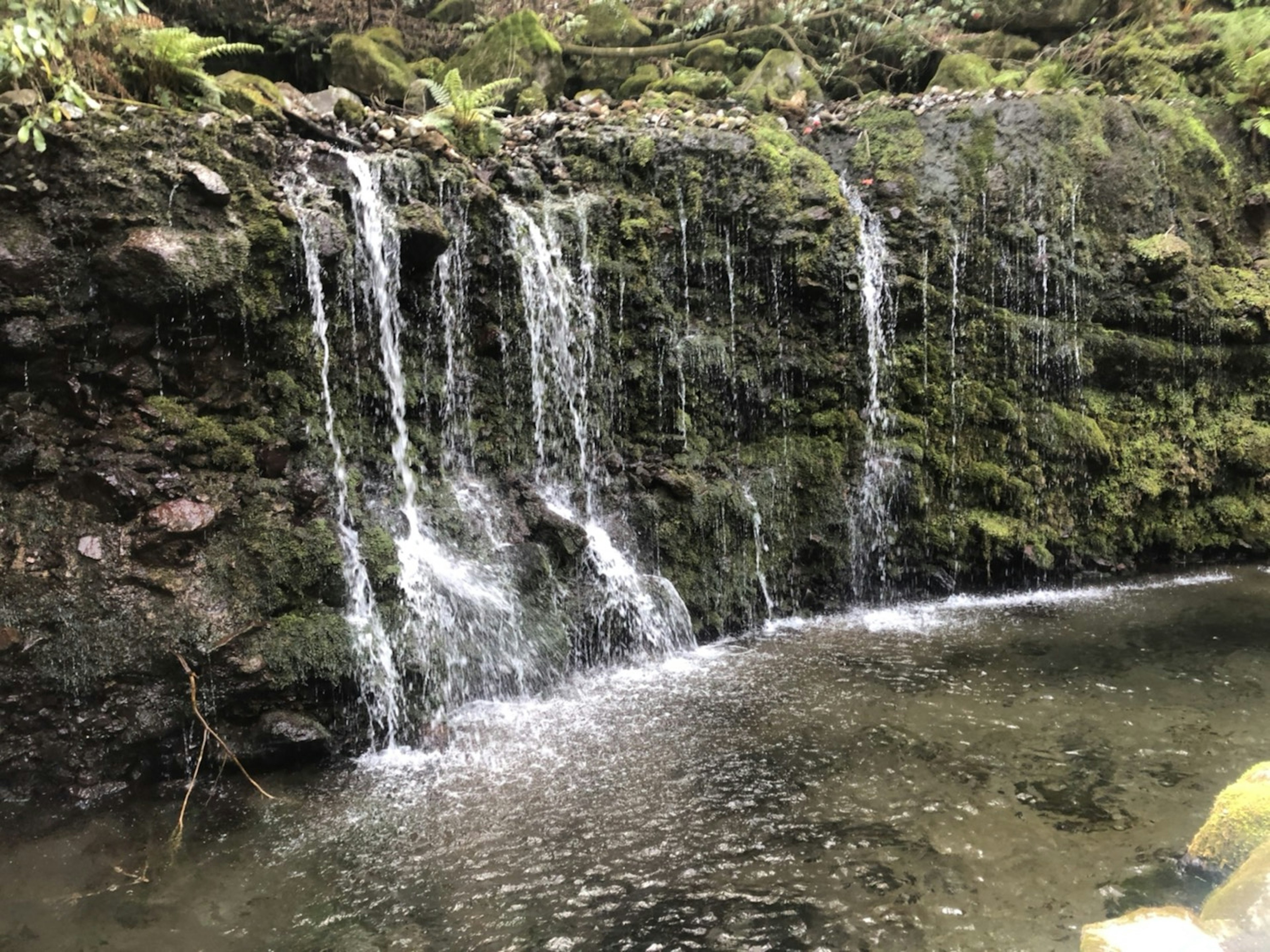 Eine ruhige Szene mit einem kleinen Wasserfall, der über moosbedeckte Felsen fließt