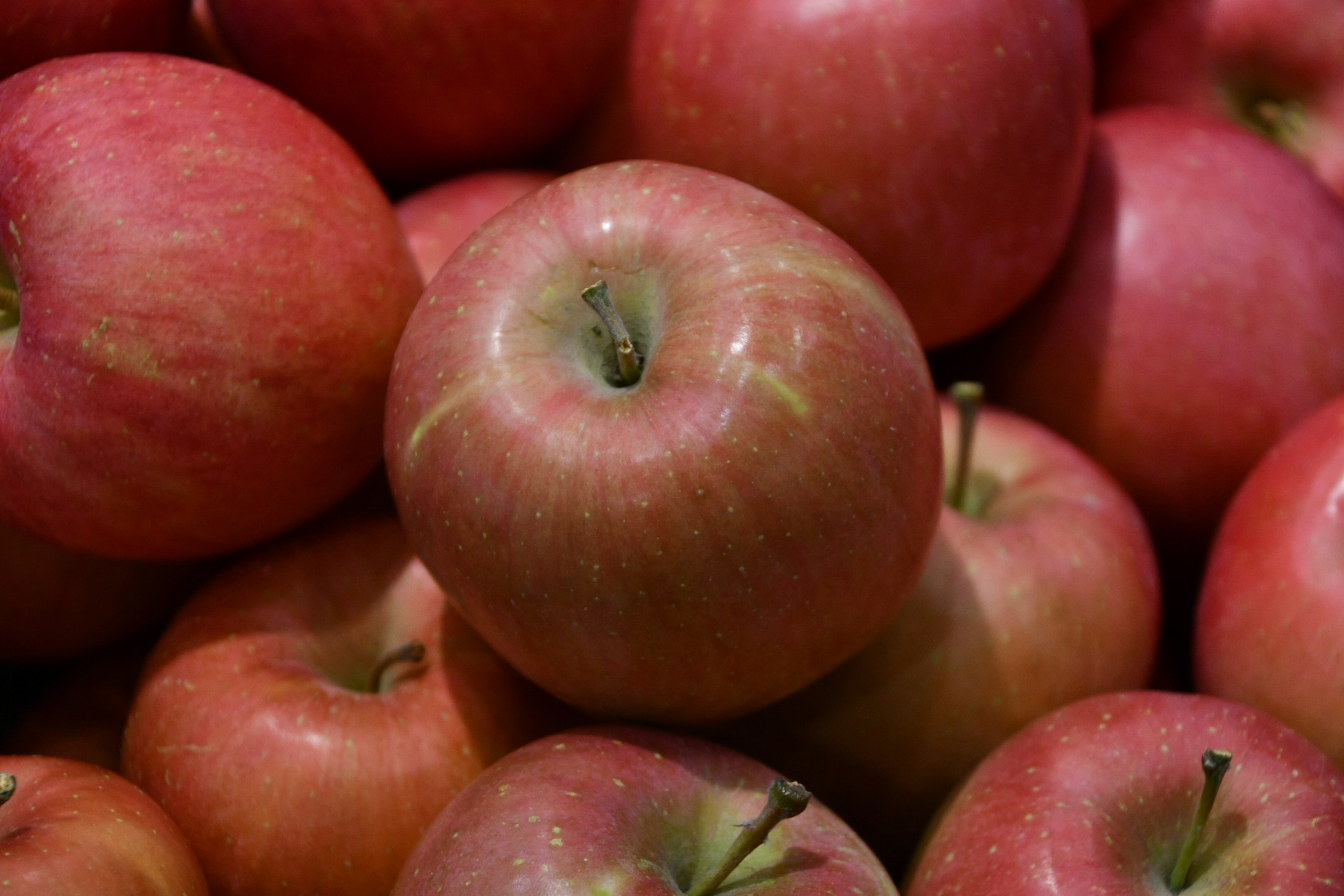 Primer plano de manzanas rojas apiladas