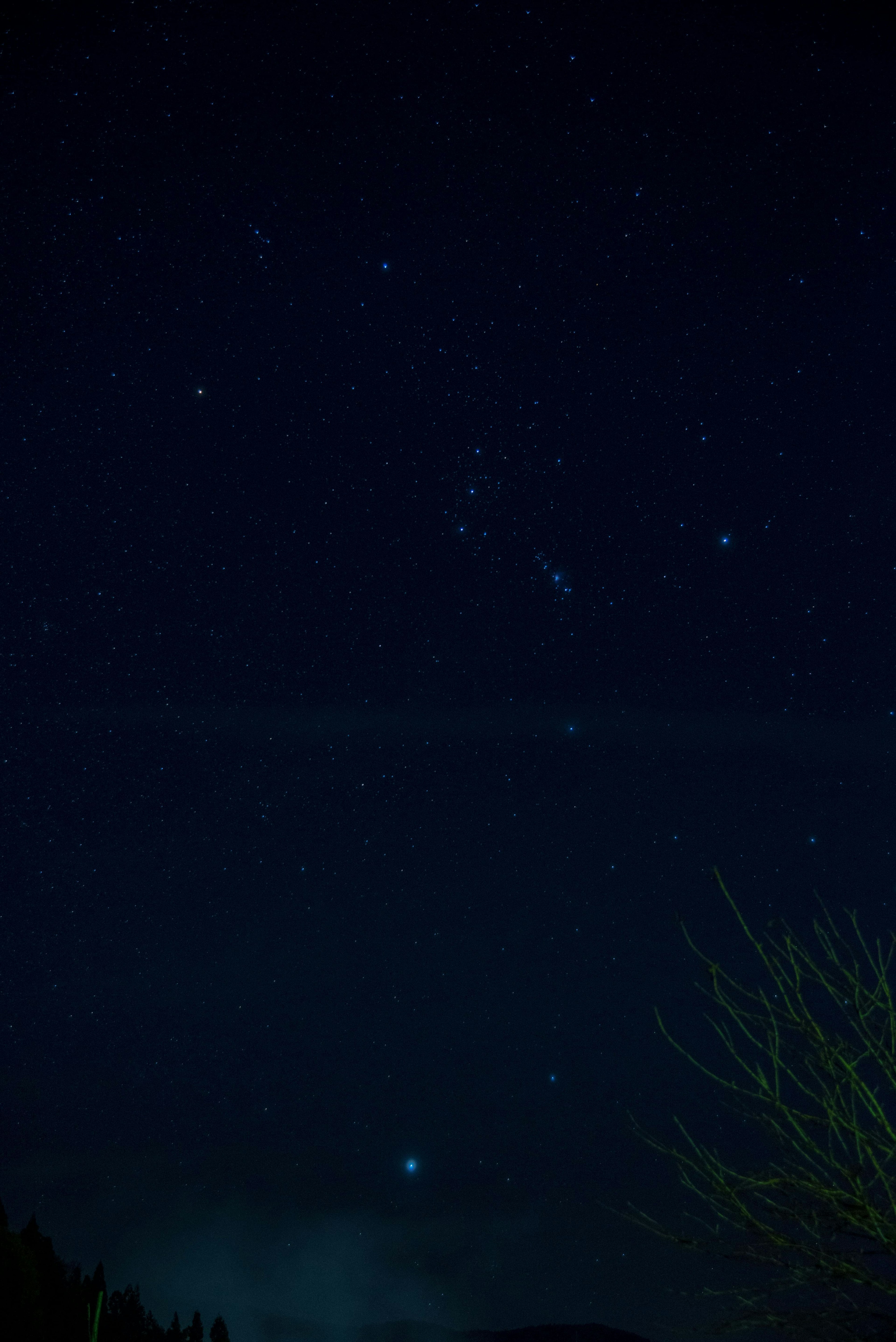 Cielo estrellado de noche con constelaciones visibles como Orión