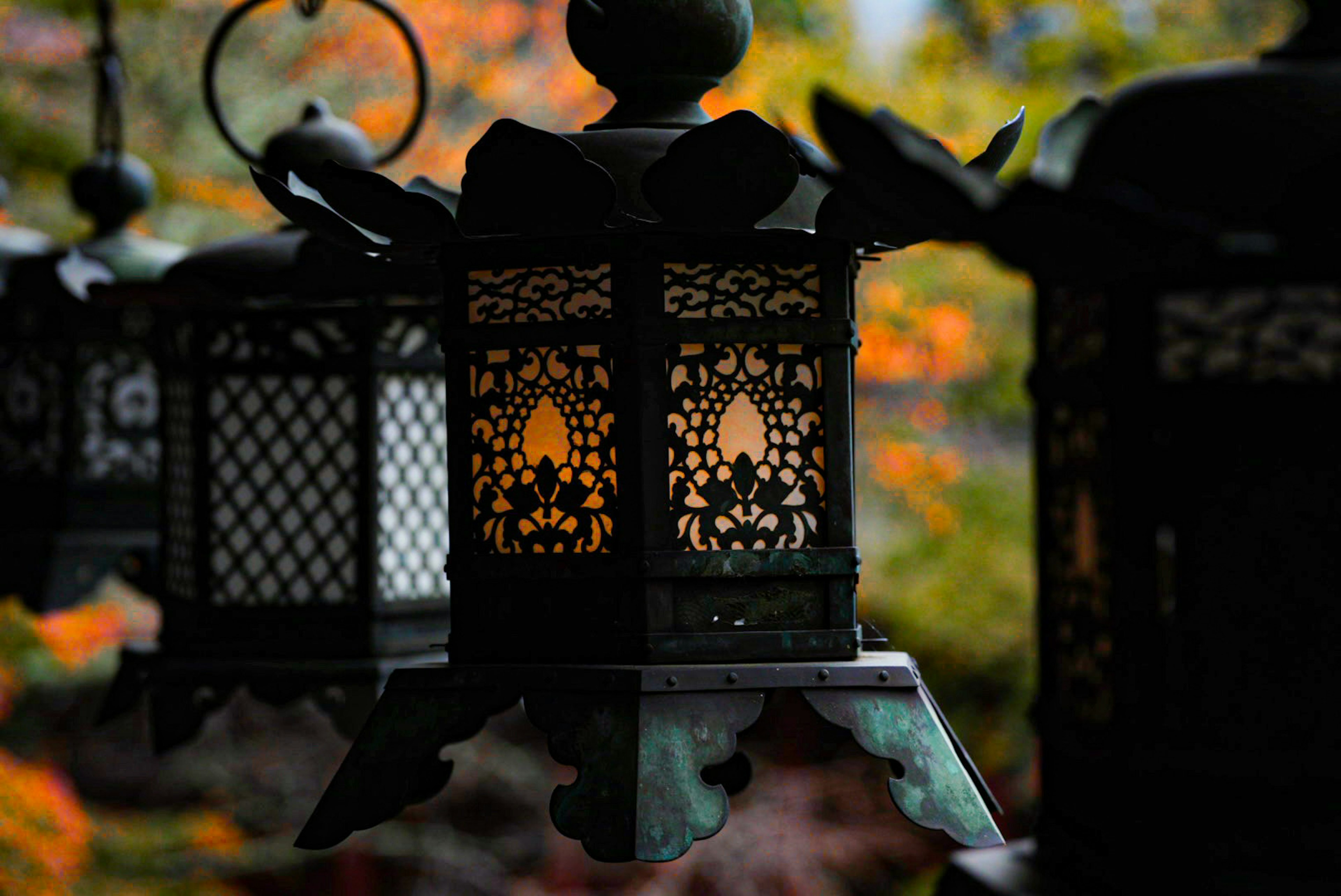 A beautiful scene of hanging lanterns featuring intricate designs and warm light