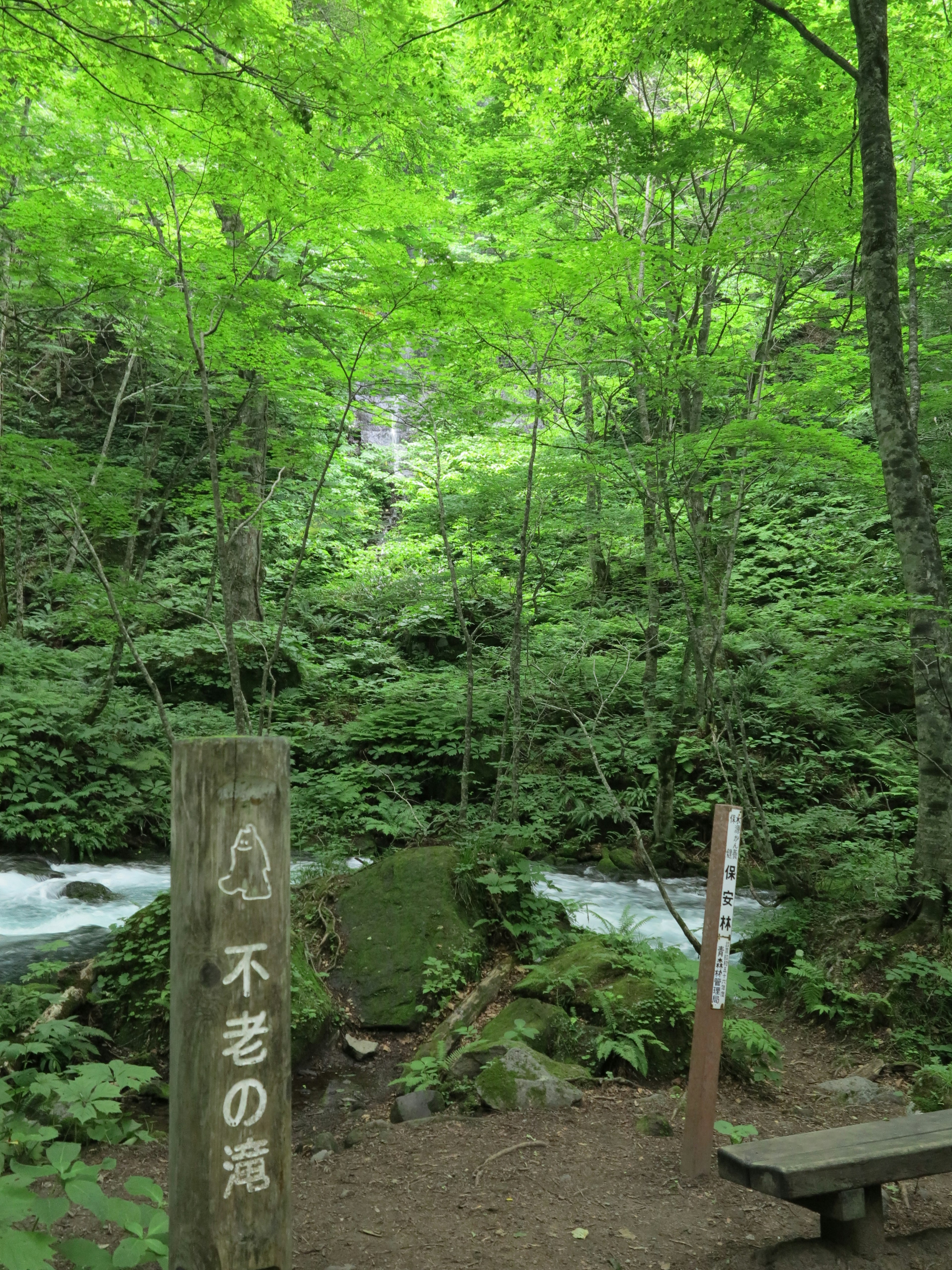 Cartel de Furo no Taki en un bosque frondoso con un arroyo