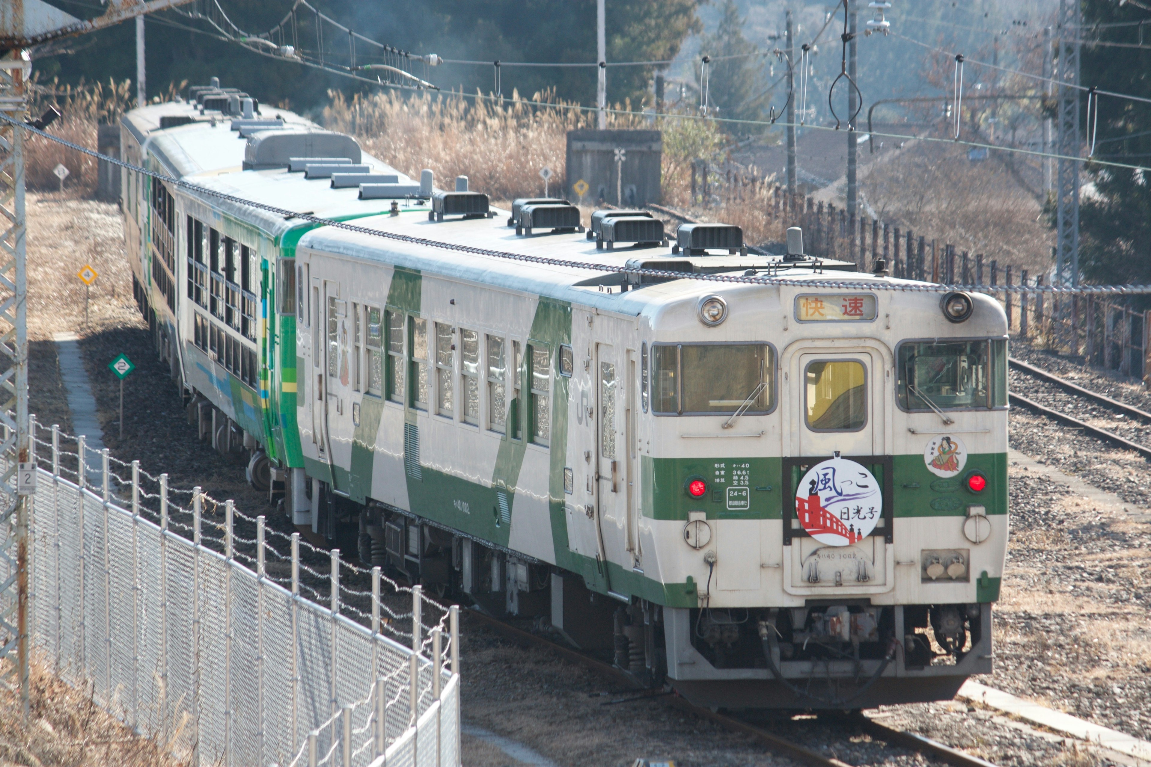 緑と白の列車が線路を走り抜ける風景