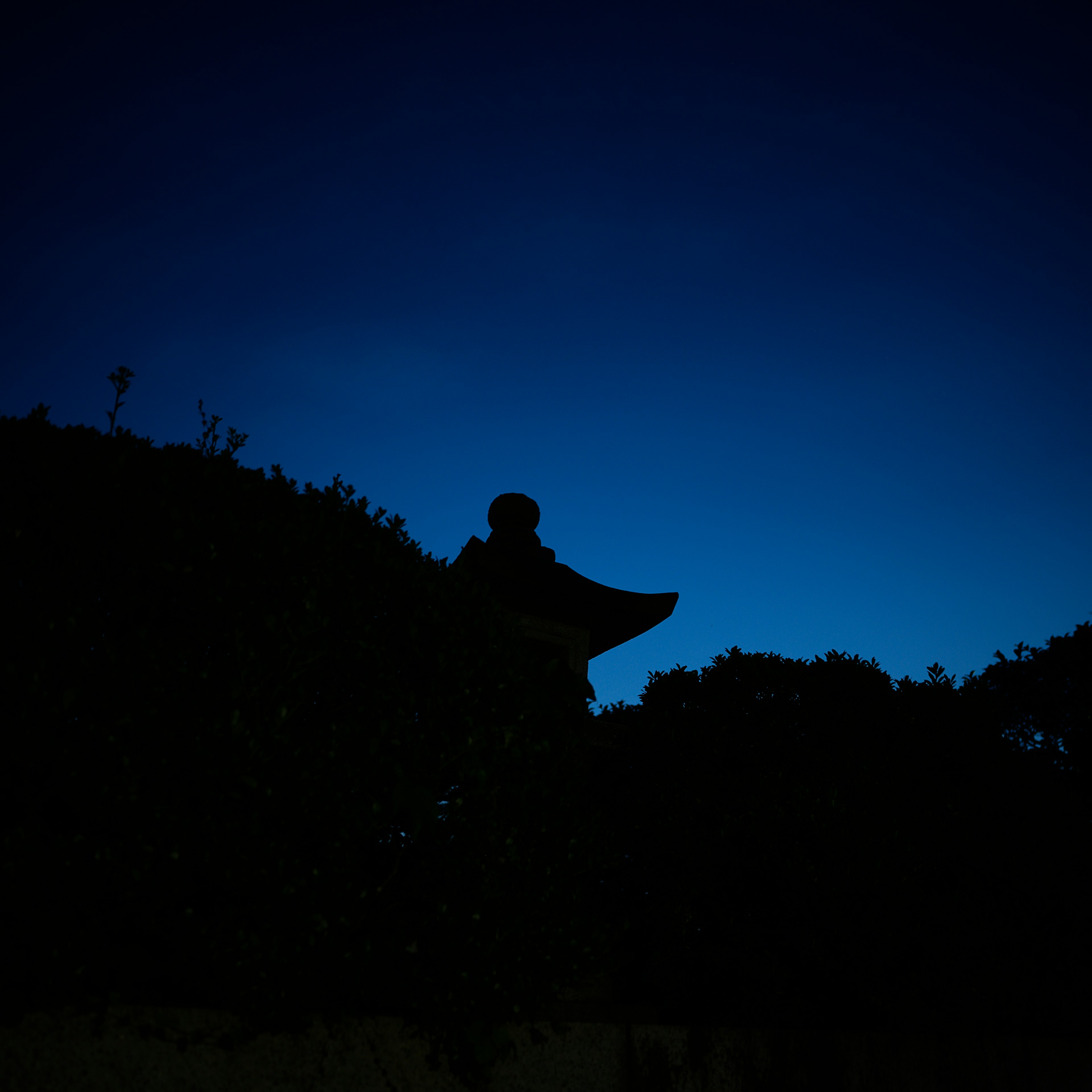 Struttura e alberi silhouettati contro un cielo notturno