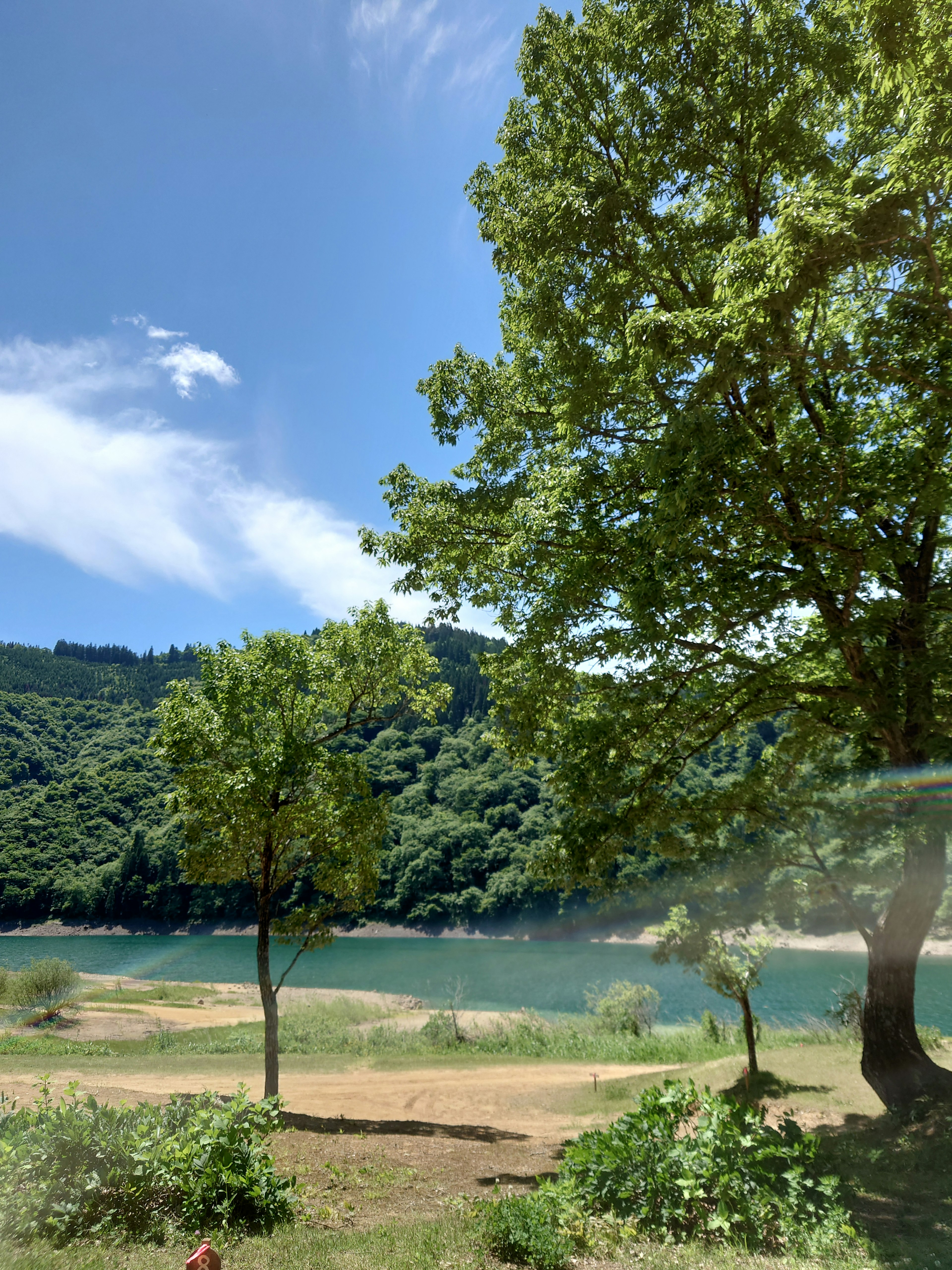 Landschaftsansicht eines Sees umgeben von grünen Bäumen und blauem Himmel