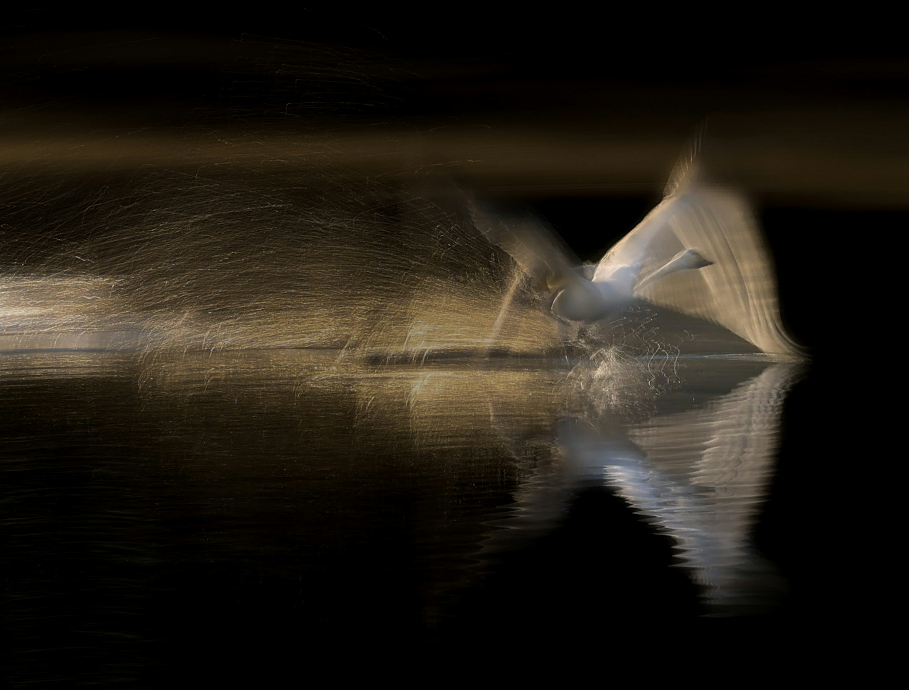 L'image capture le mouvement d'un bateau blanc glissant sur la surface de l'eau