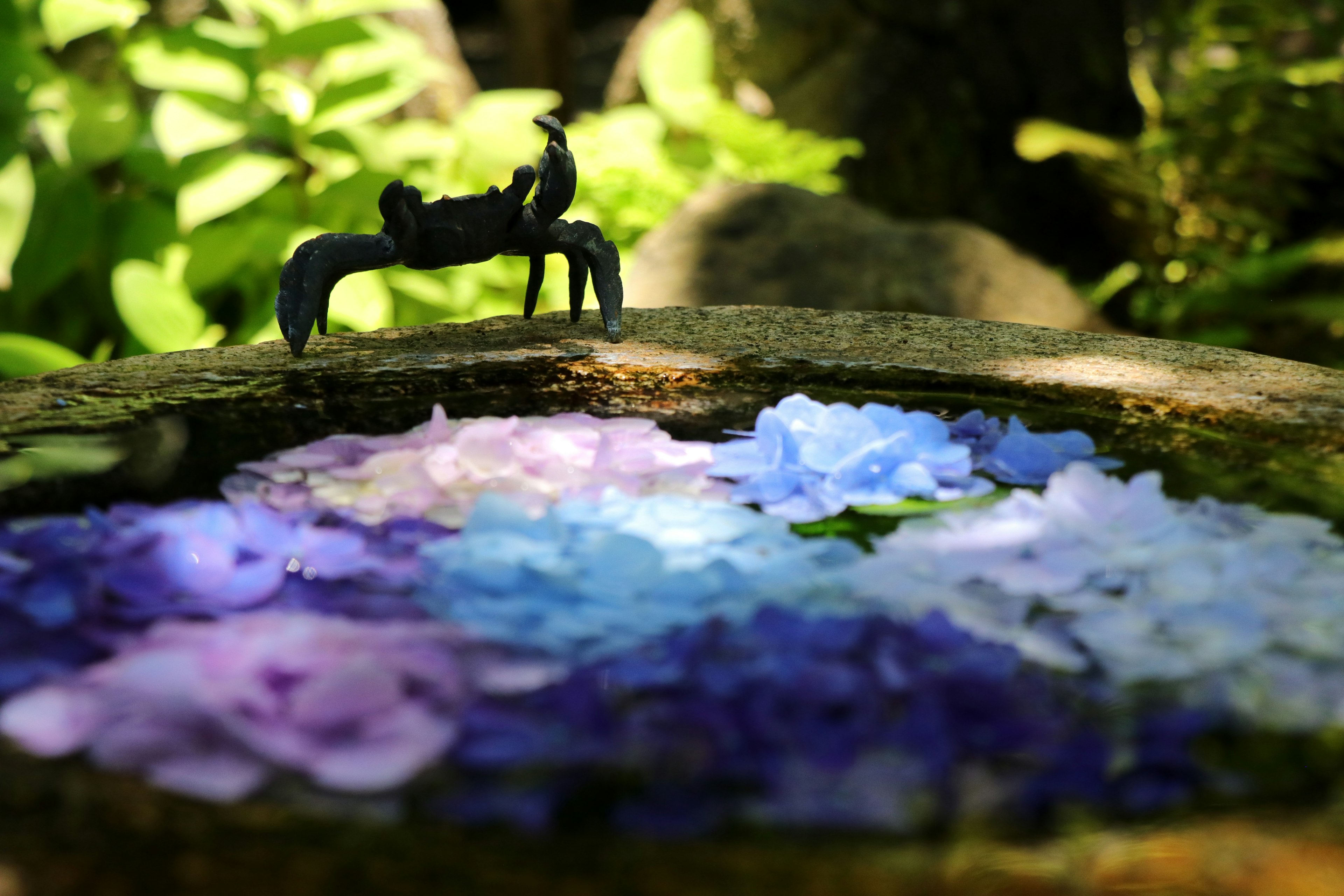 水に浮かぶ青と紫の花びらの上に立つ黒いカニの彫刻