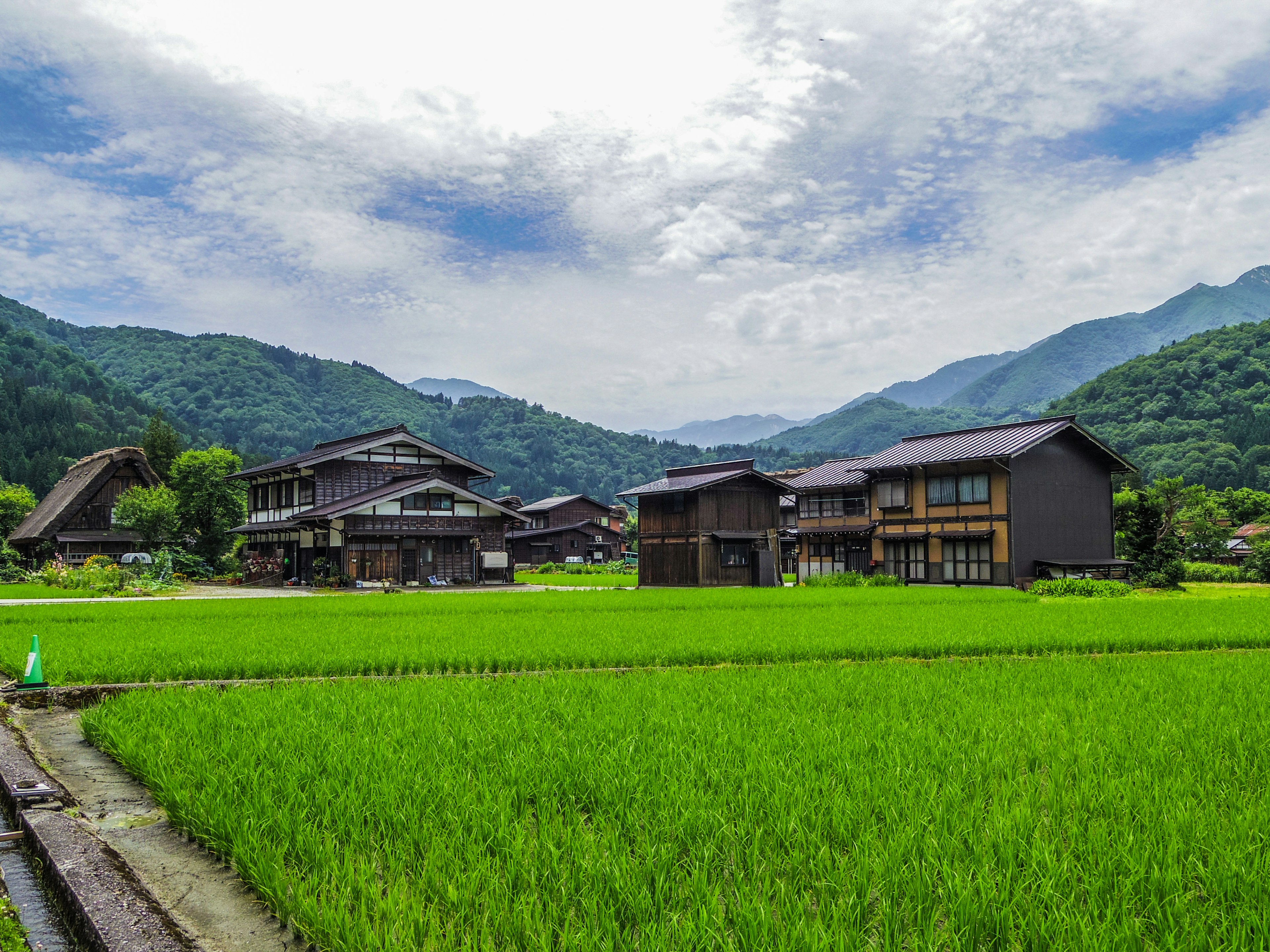 Traditional Japanese houses surrounded by lush green rice fields and mountains