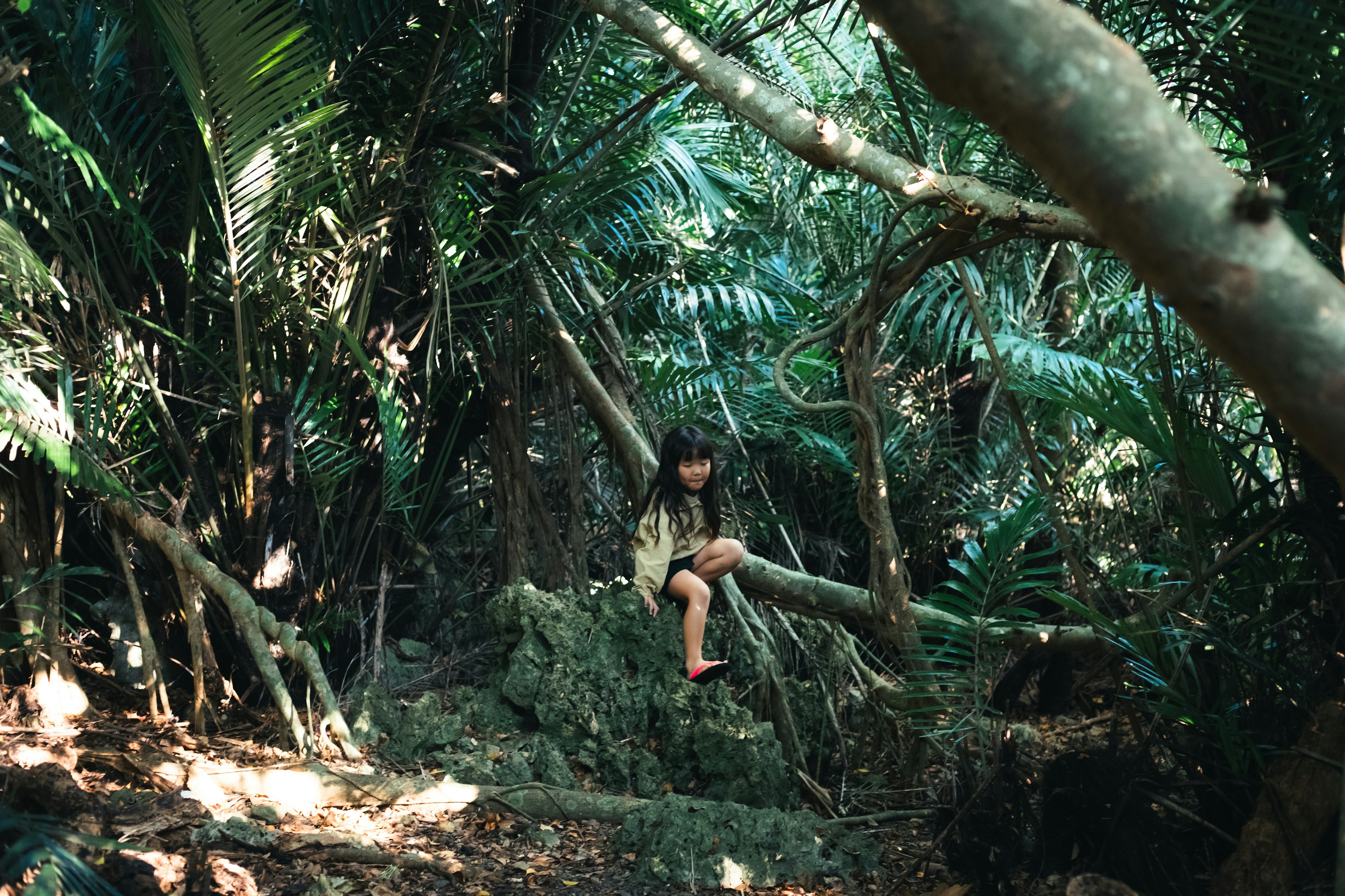 A child sitting on a log in a lush jungle