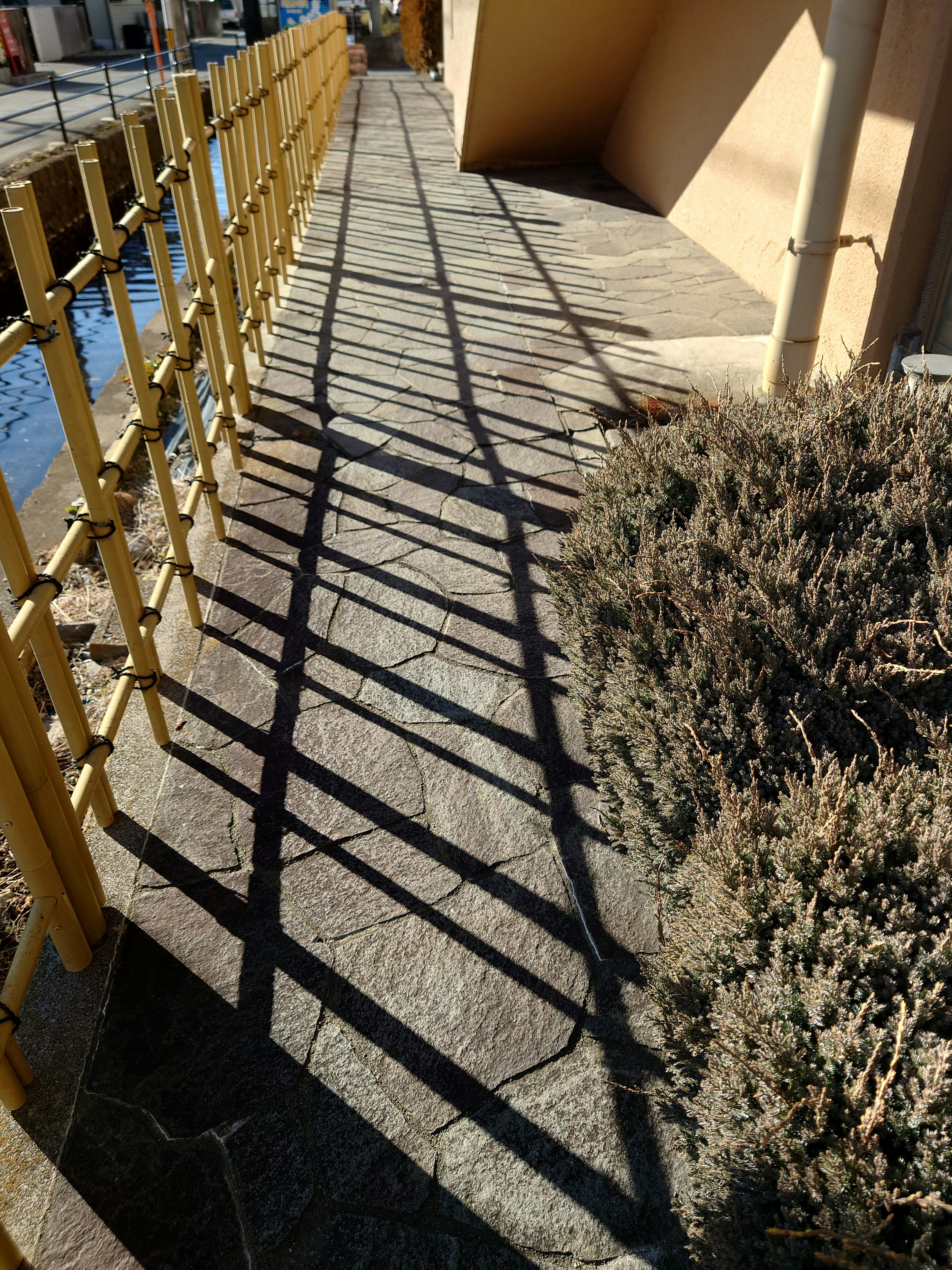 Une scène de trottoir avec des ombres d'une clôture jaune