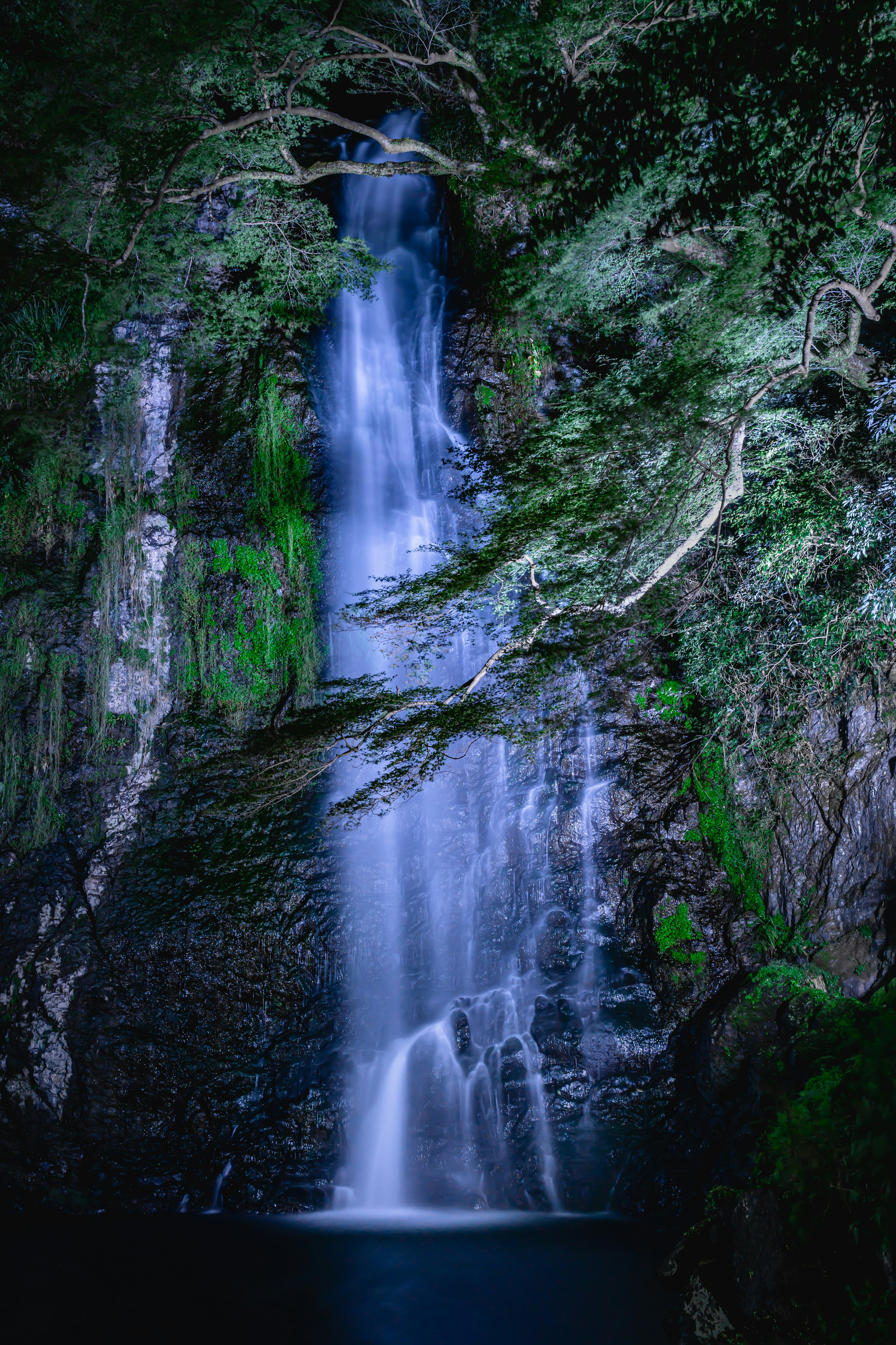 Bellissima cascata illuminata da una luce blu circondata da una vegetazione lussureggiante