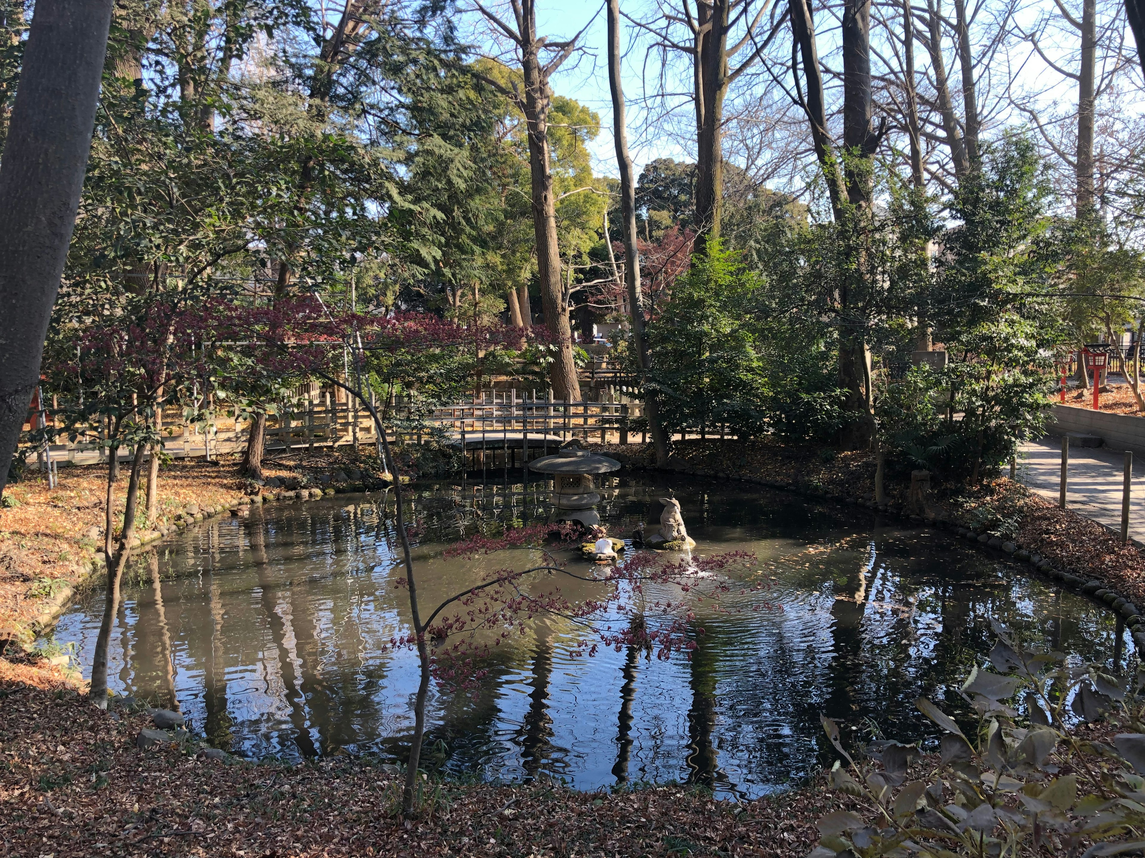 Tranquil park scene featuring a pond and a bridge