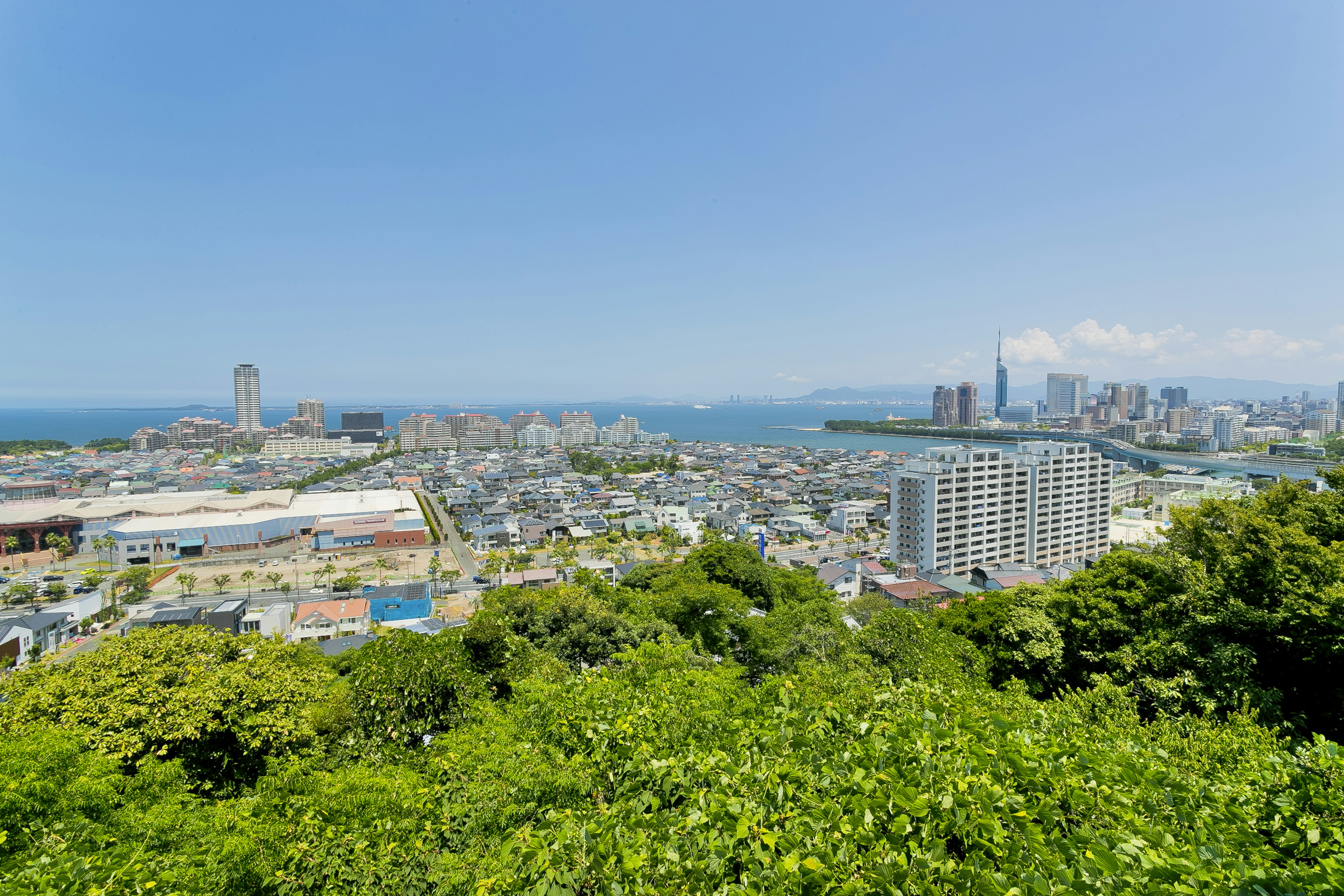 Panoramic view of a city under a blue sky featuring lush greenery and ocean scenery