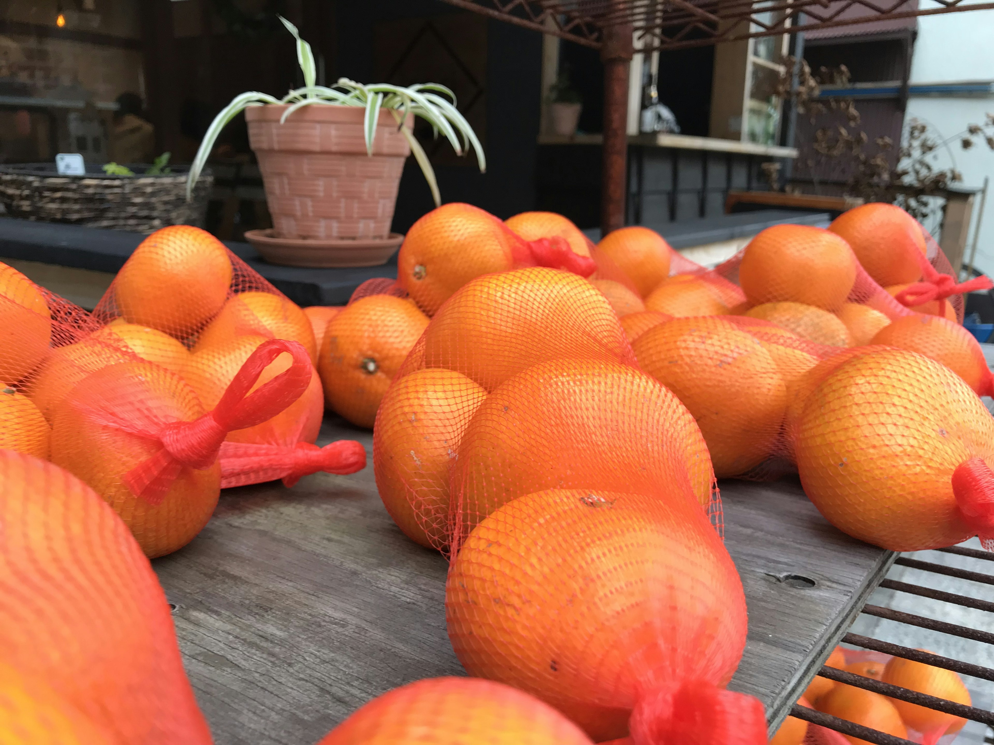 Une scène de marché avec des oranges enveloppées dans un filet et une plante en pot en arrière-plan