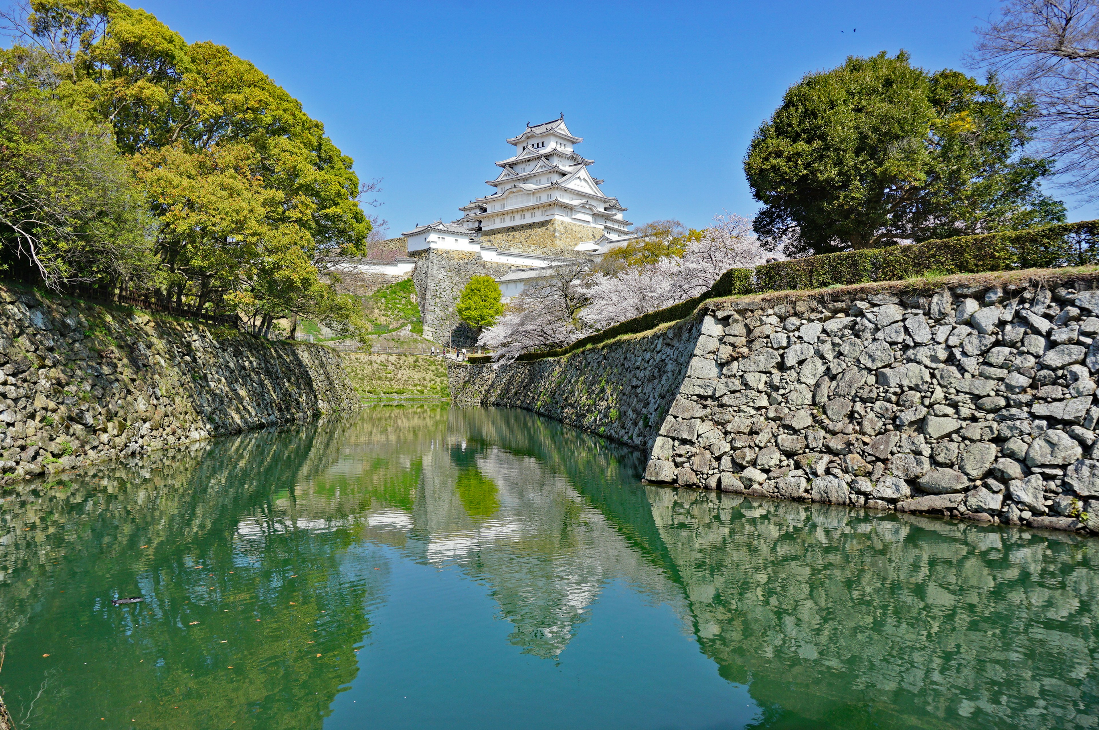 Belle vue du château de Himeji reflété dans l'eau