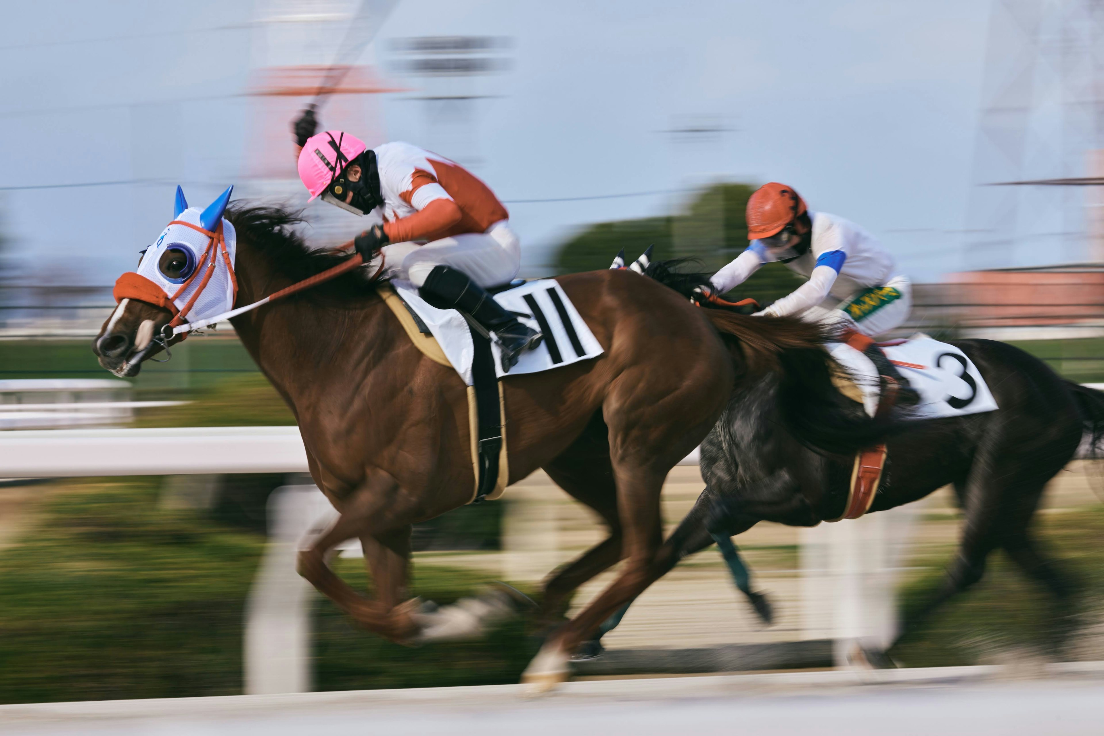 Eine Szene eines Pferdes und eines Jockeys, die während eines Pferderennens mit hoher Geschwindigkeit rennen