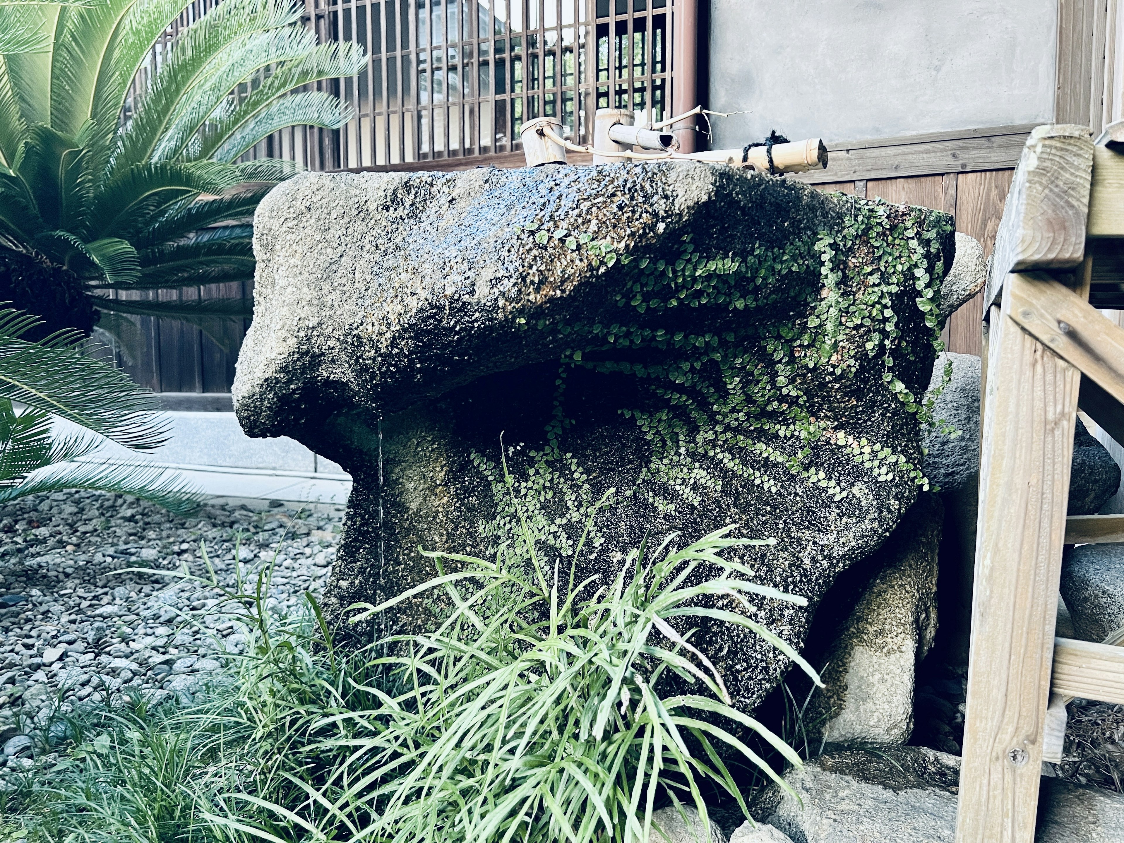 Table en pierre entourée de plantes vertes luxuriantes dans un jardin