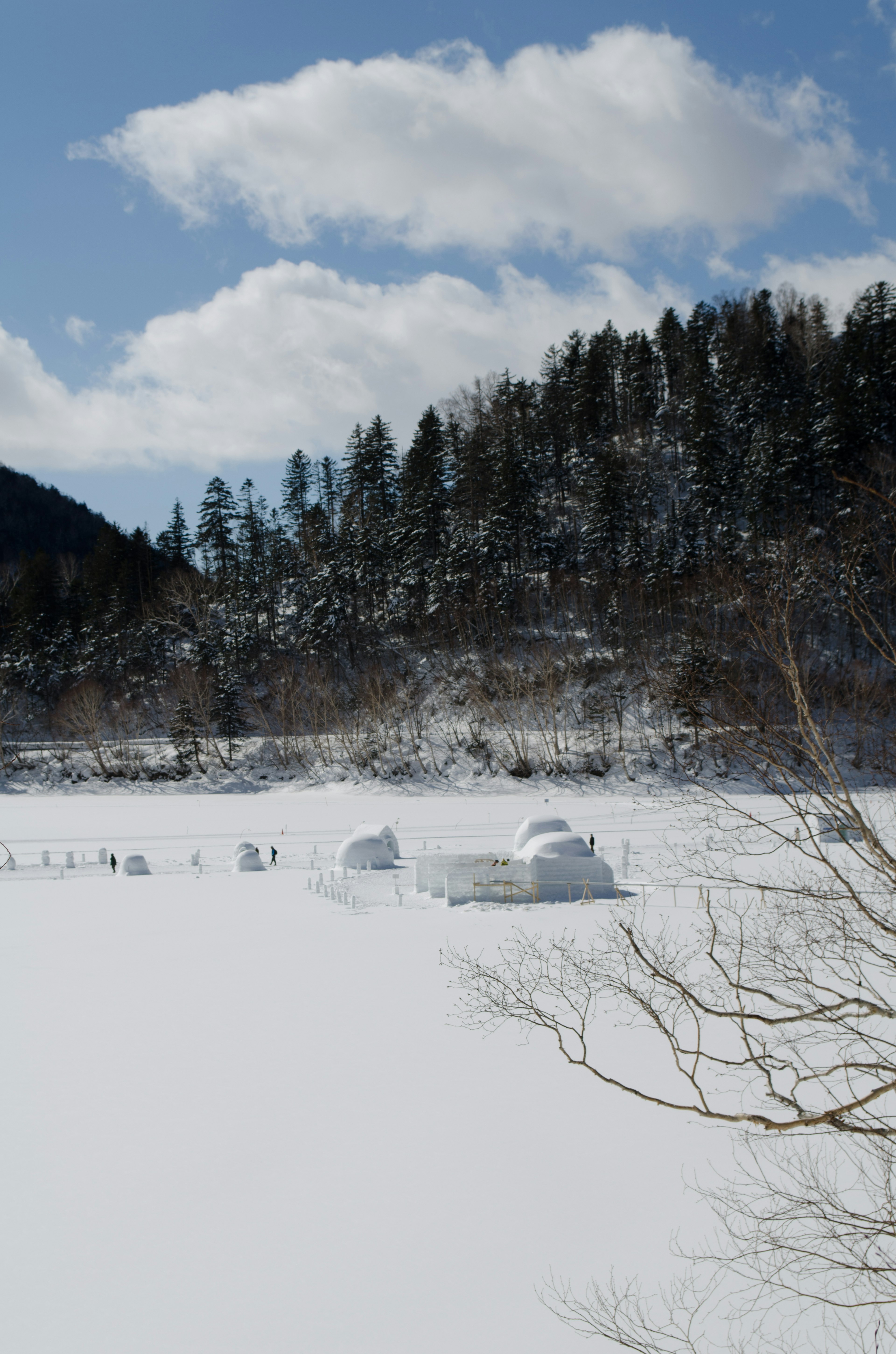 雪に覆われた風景と青い空が広がり木々が背景に見える