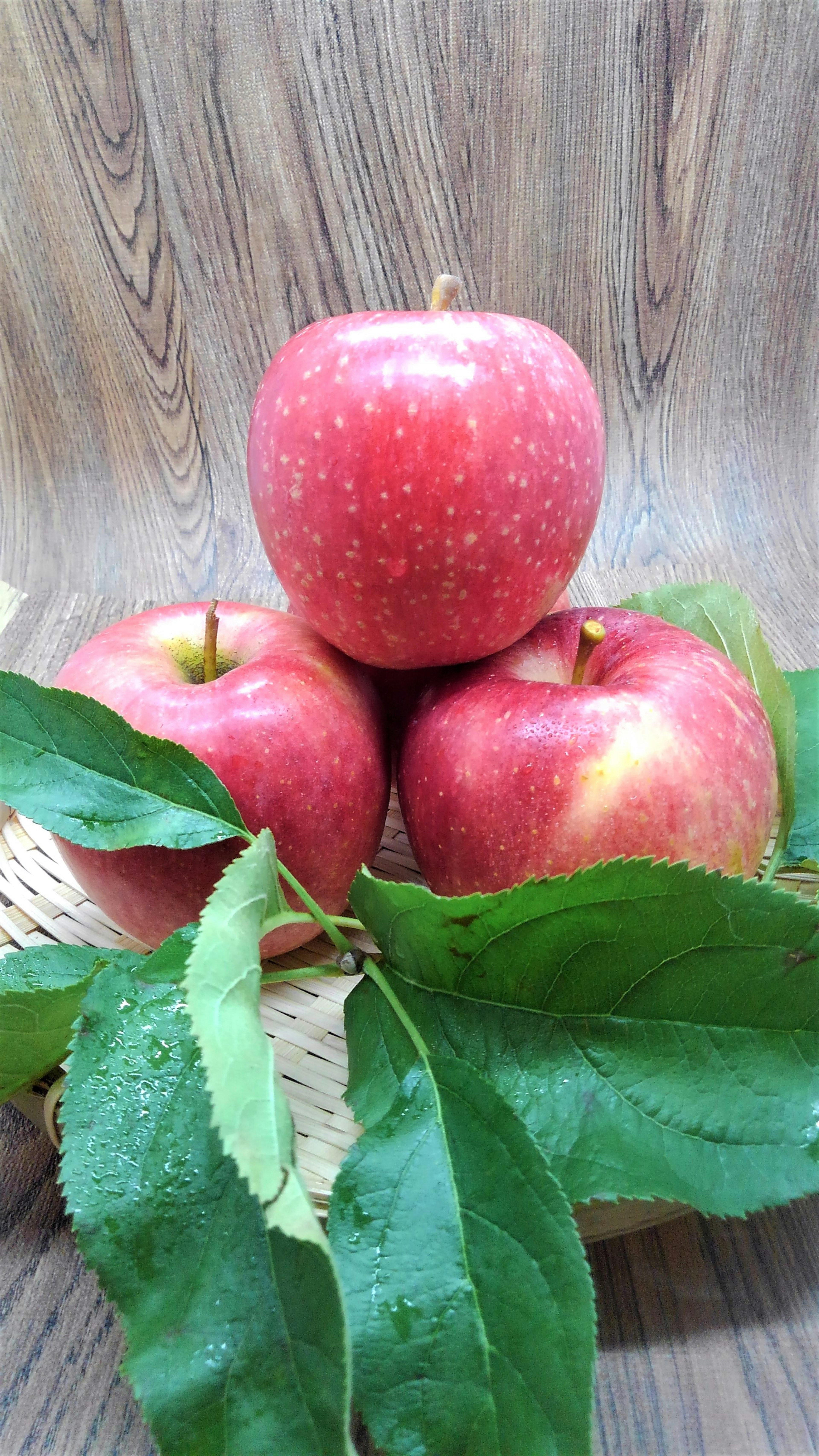 Three red apples arranged on green leaves