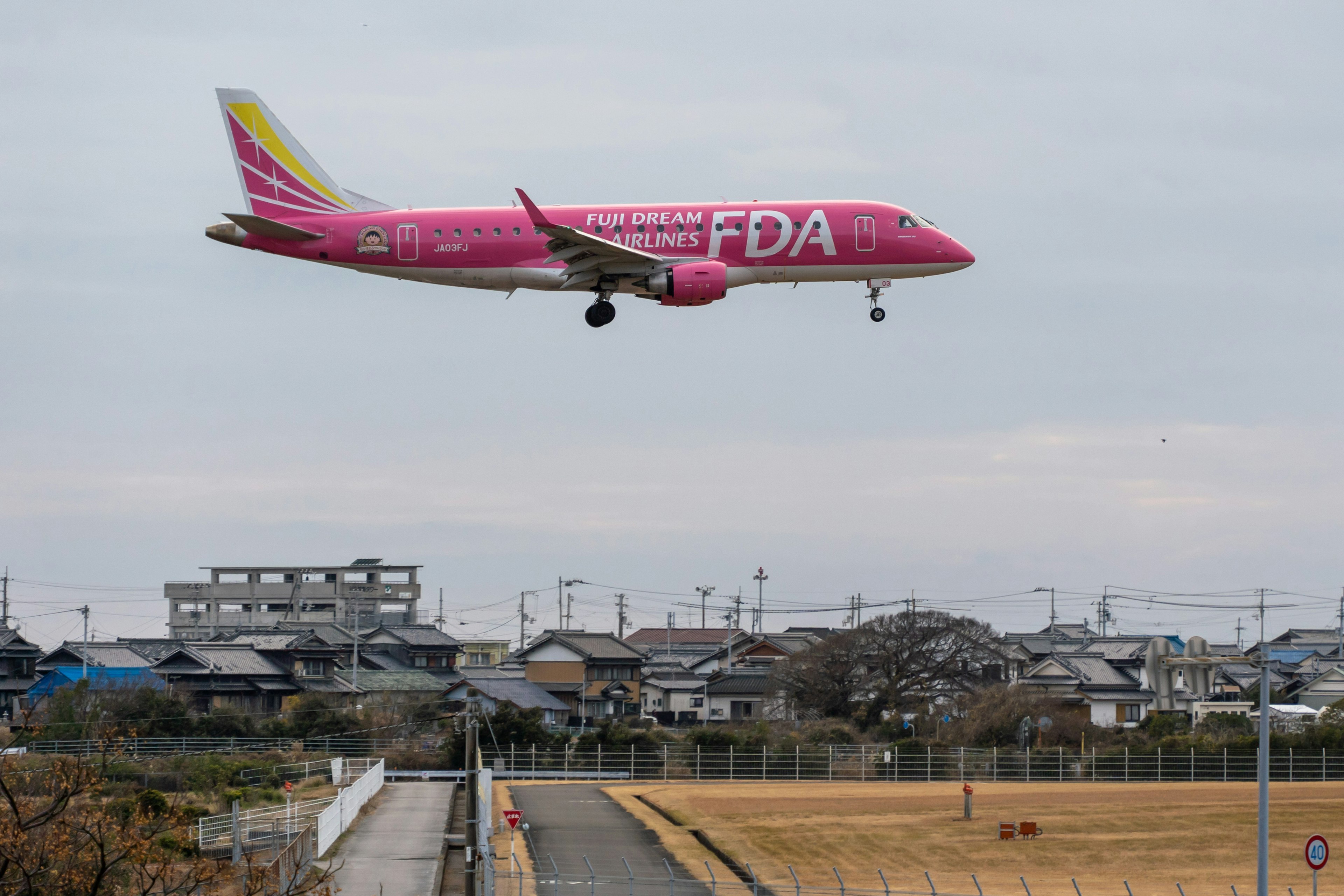 Avión FDA rosa volando sobre un paisaje rural