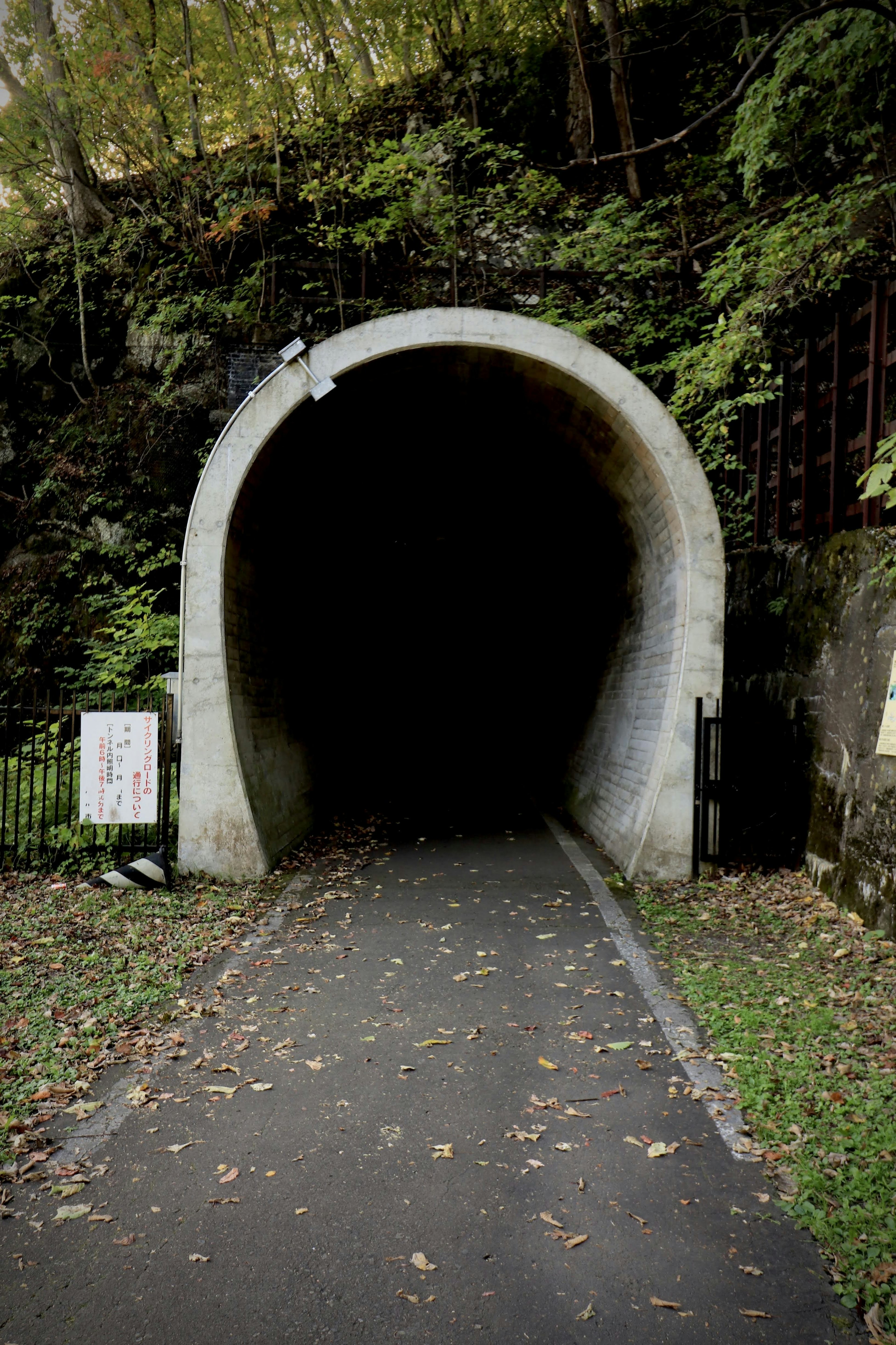 Dark tunnel entrance surrounded by lush greenery