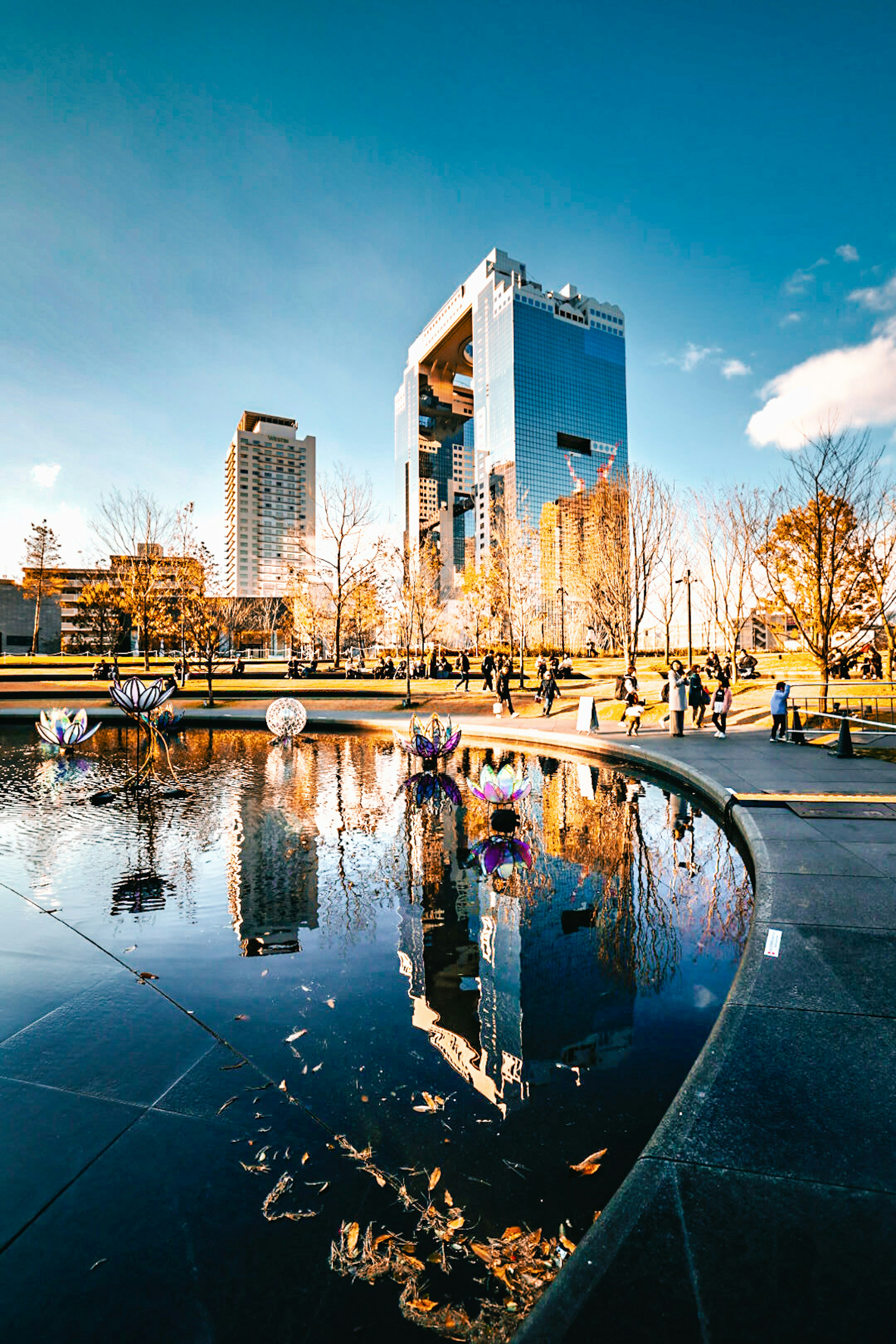 Modernes Gebäude spiegelt sich in einem ruhigen Teich mit Herbstlaub