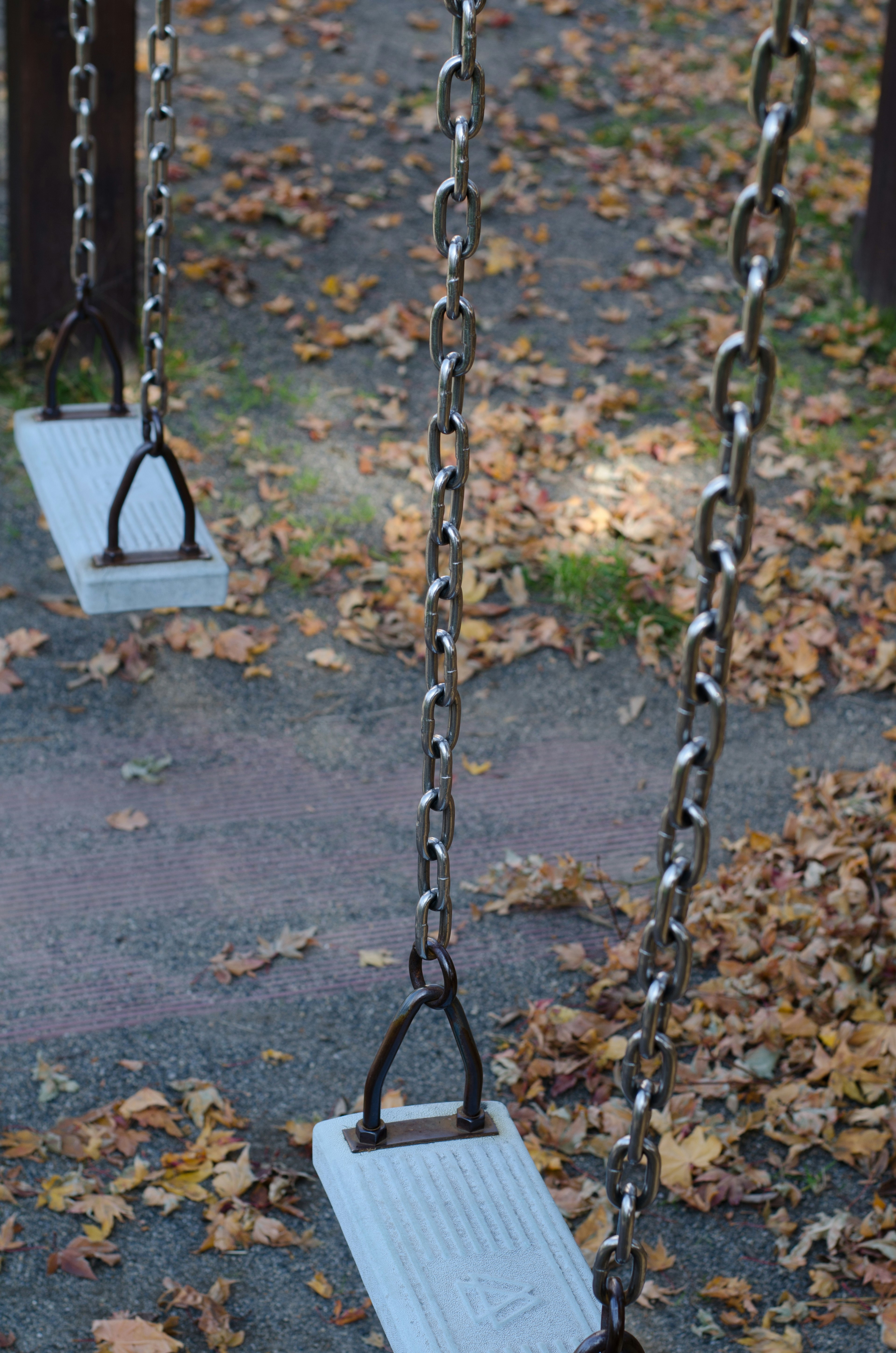 Columpios de parque con cadenas metálicas y asientos rodeados de hojas caídas