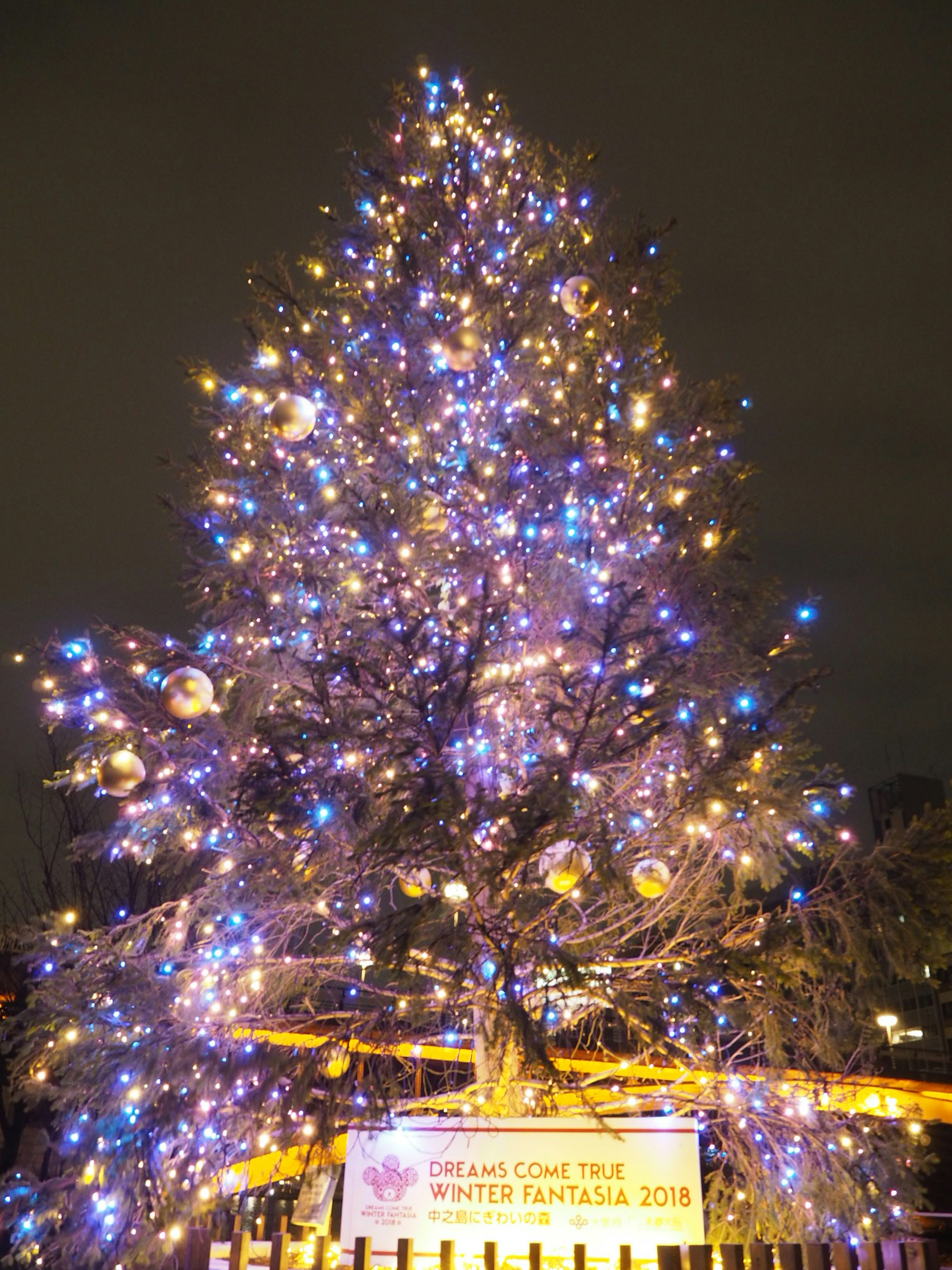 Arbre de Noël illuminé décoré de lumières colorées et d'ornements