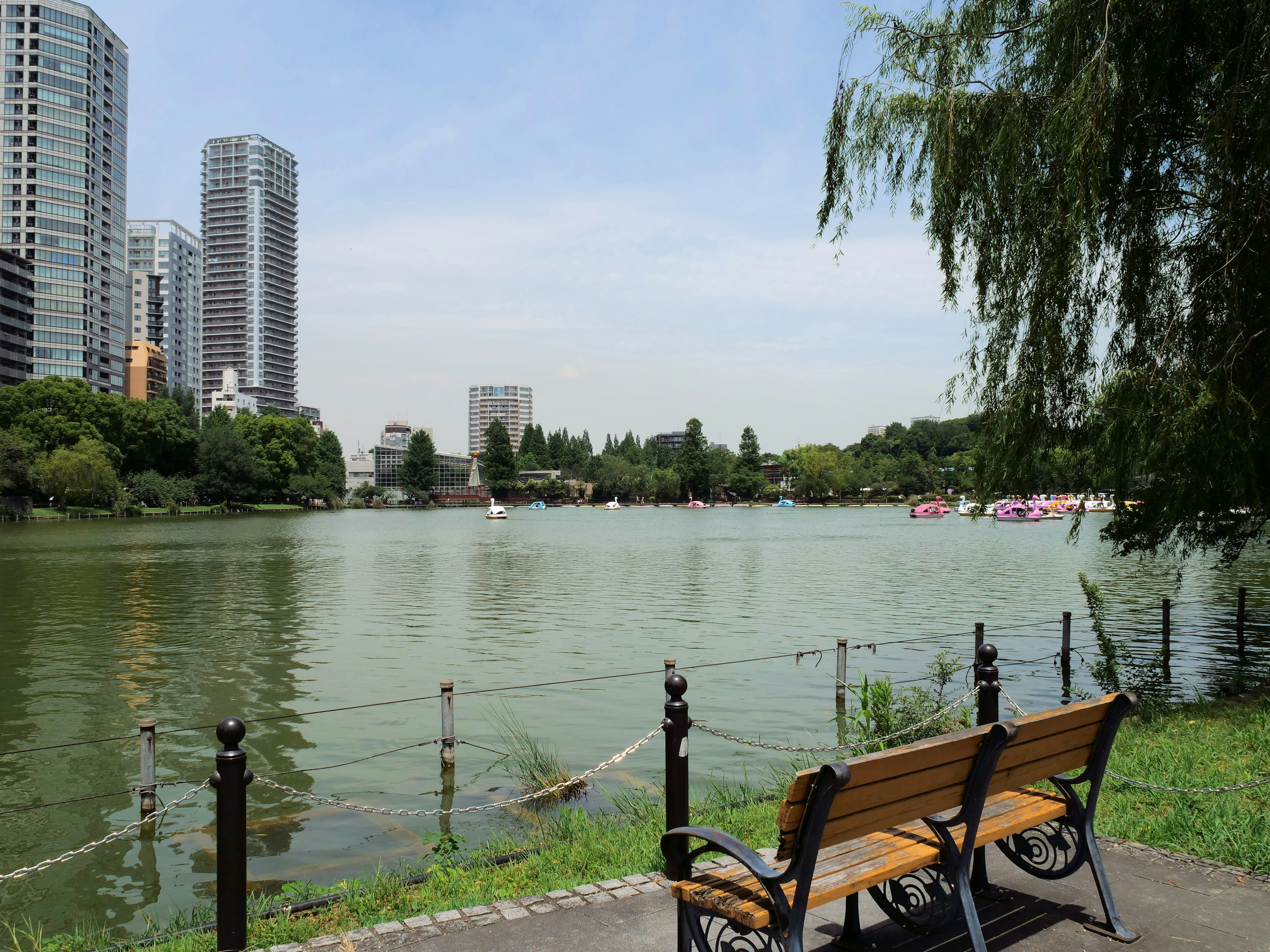 Vista panoramica di un lago nel parco con una panchina e grattacieli