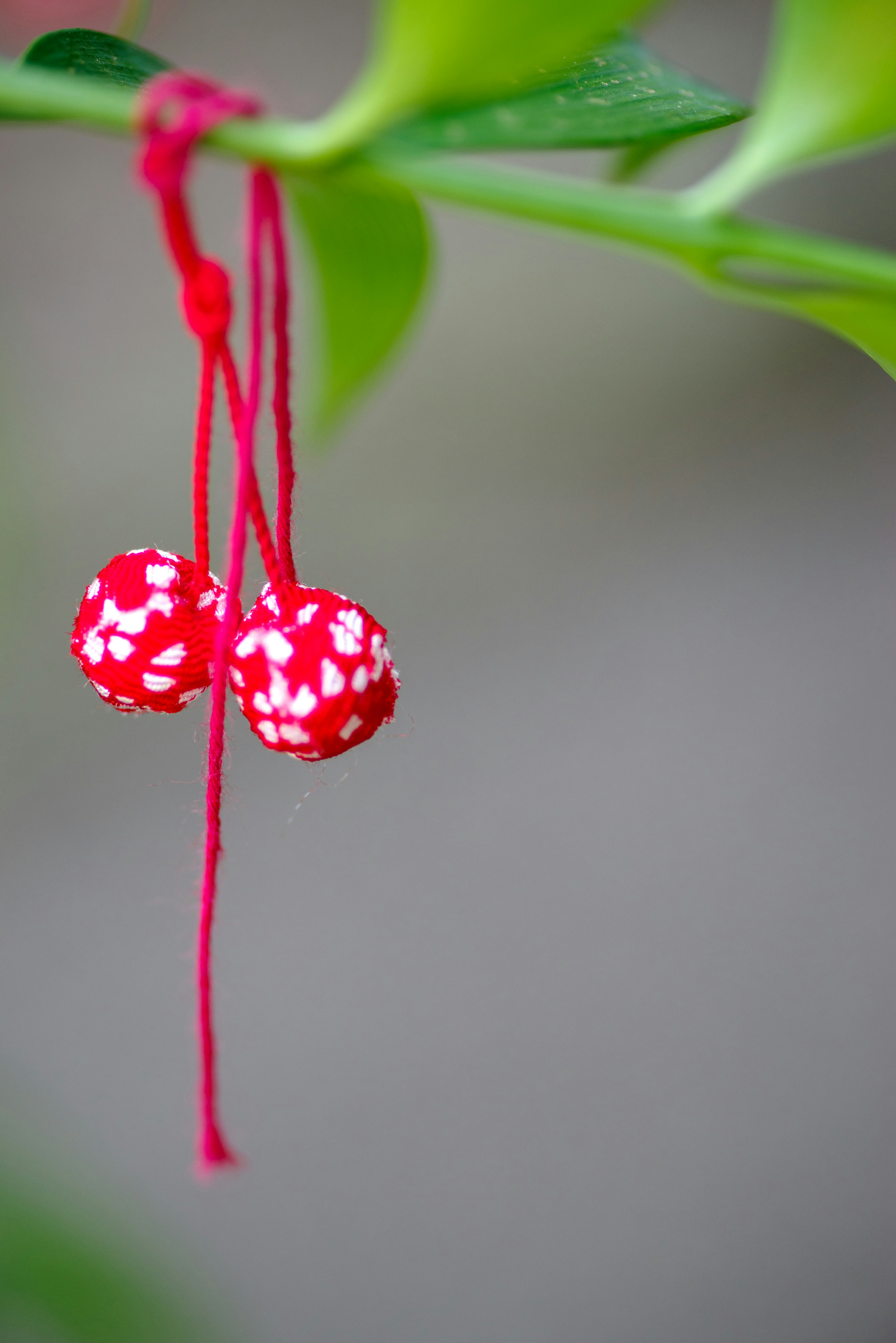 Red decorative flowers hanging from green leaves