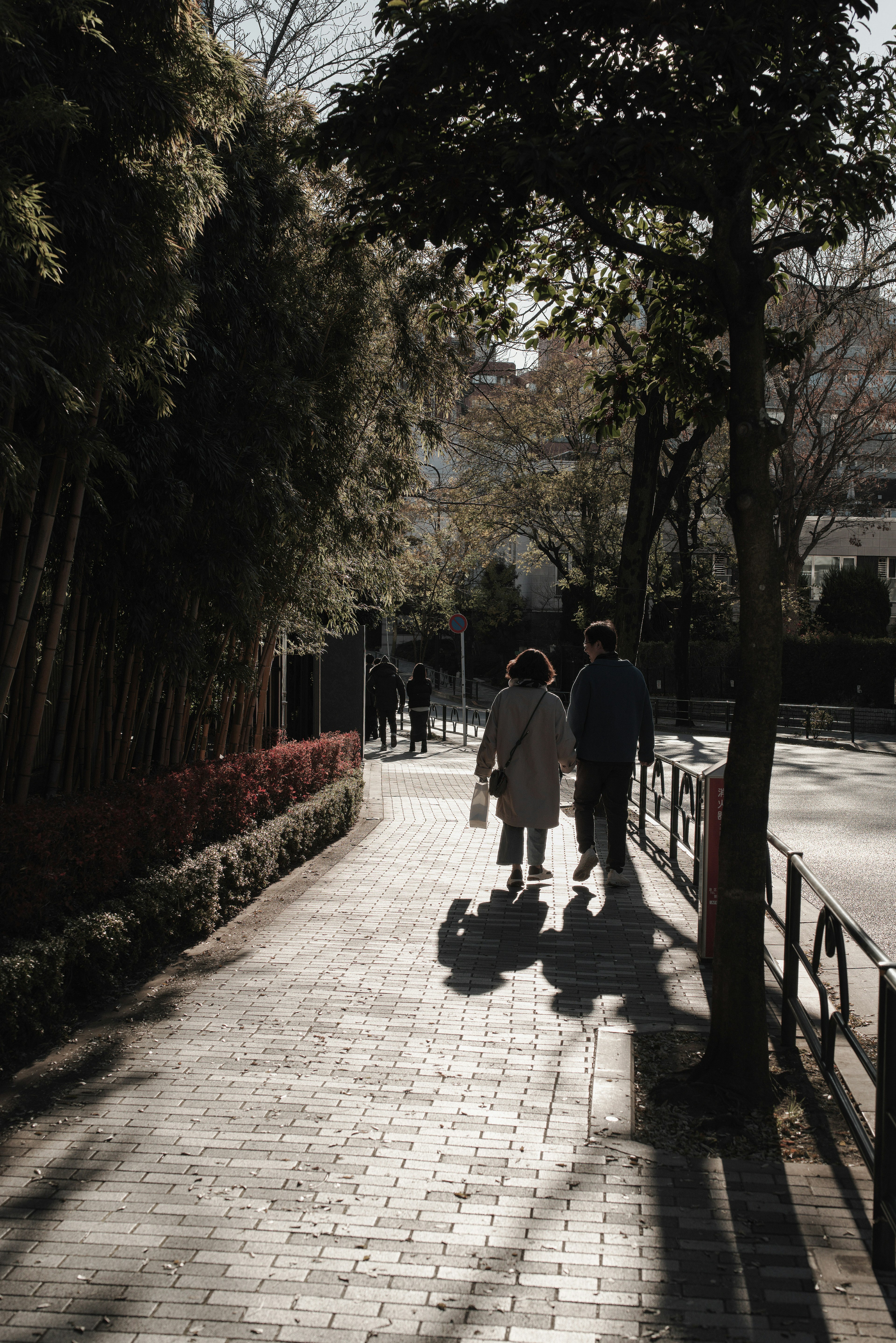 在安靜公園小道上行走的兩個人的剪影