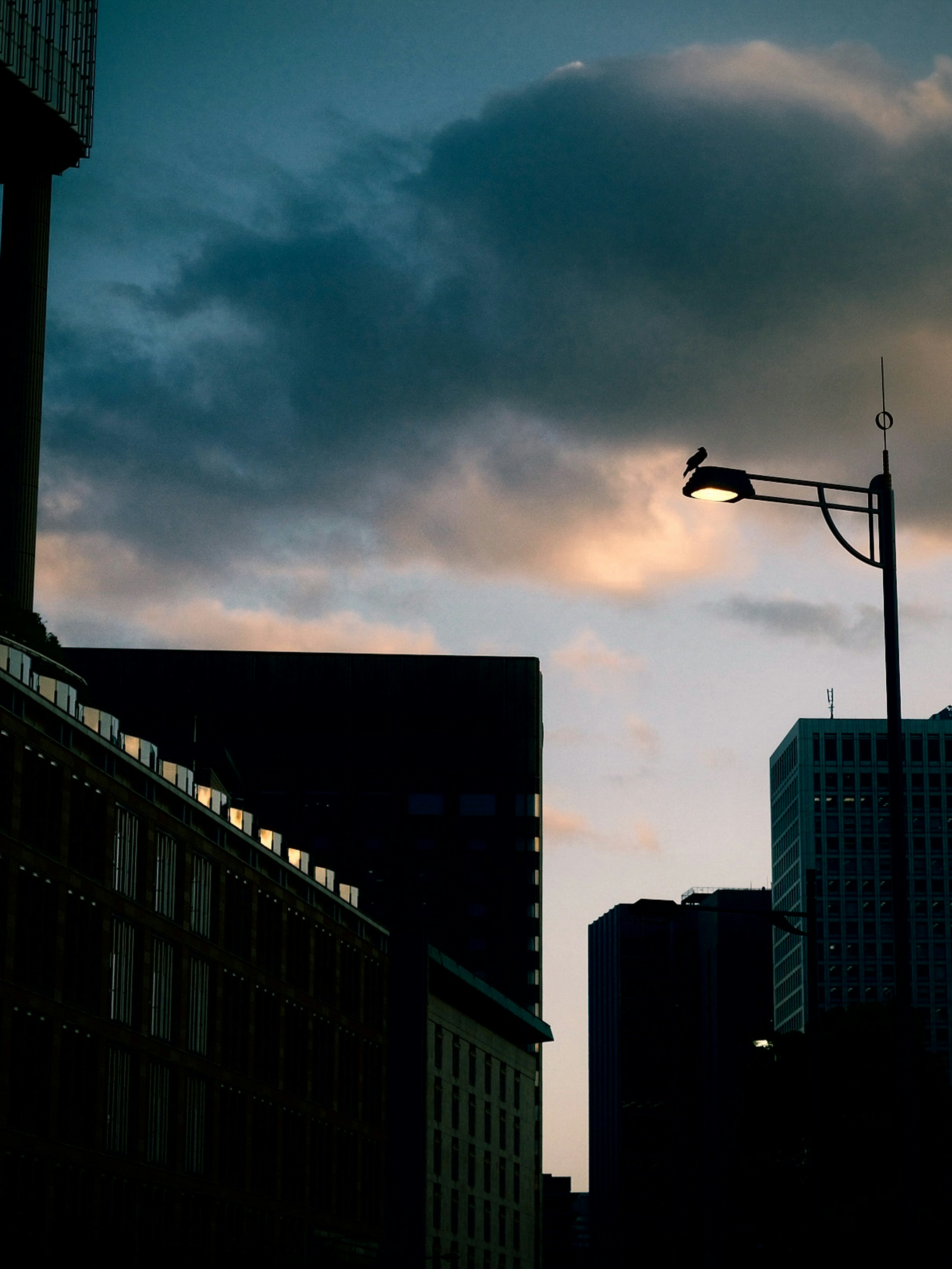 Urban skyline at dusk with silhouettes of skyscrapers and a street lamp